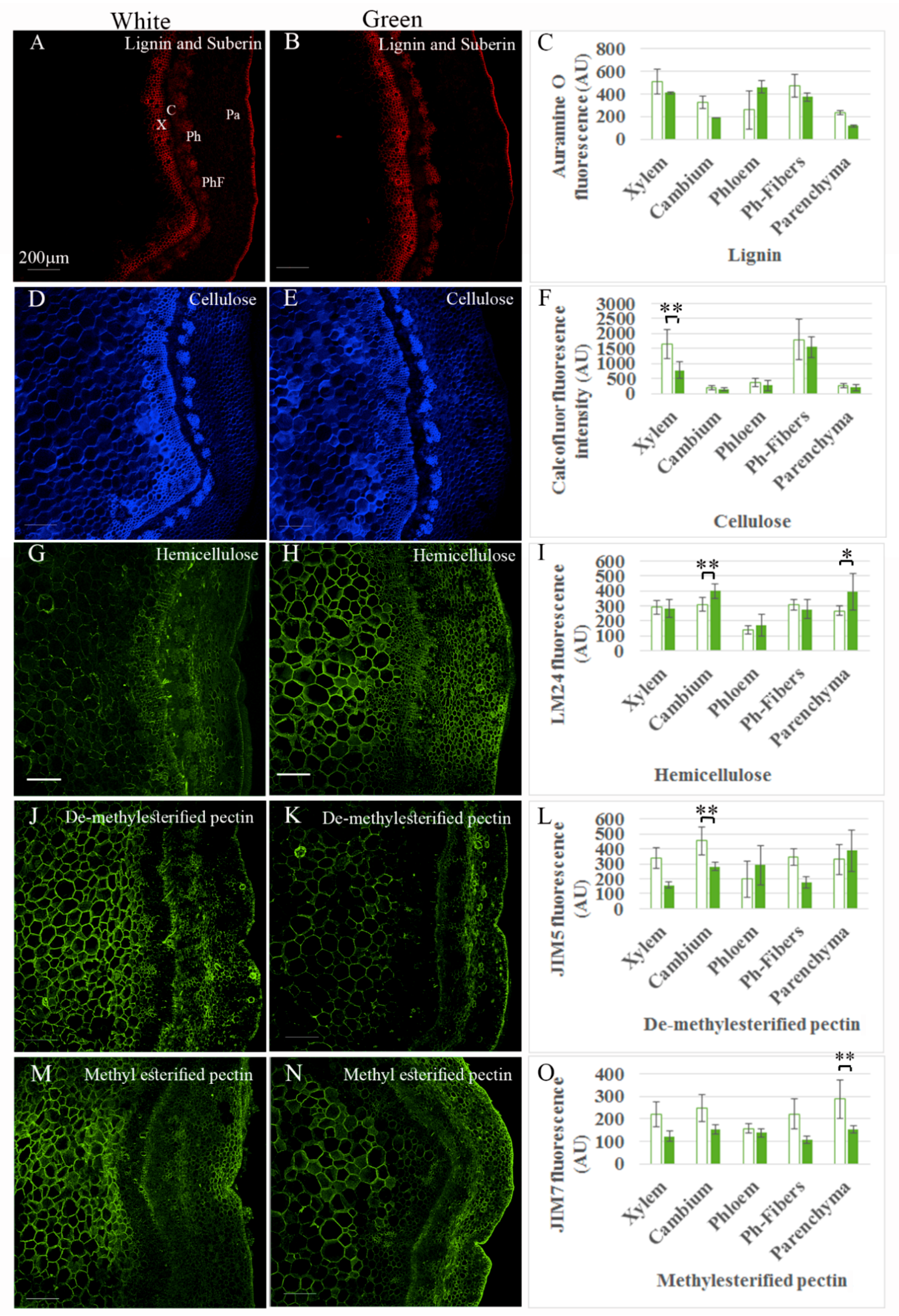 Plants 09 01481 g002