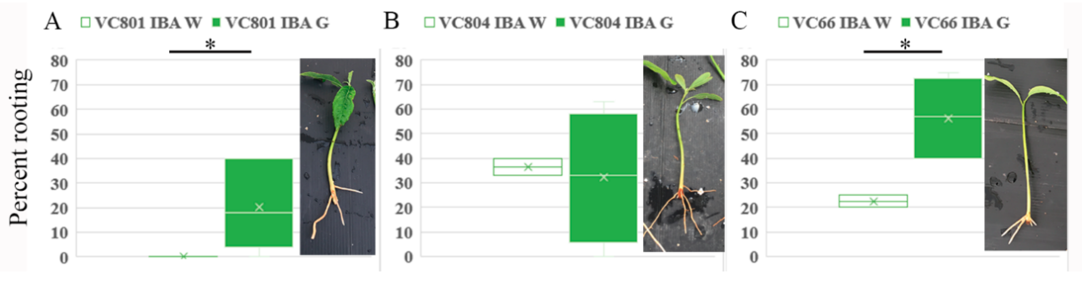 Plants 09 01481 g004