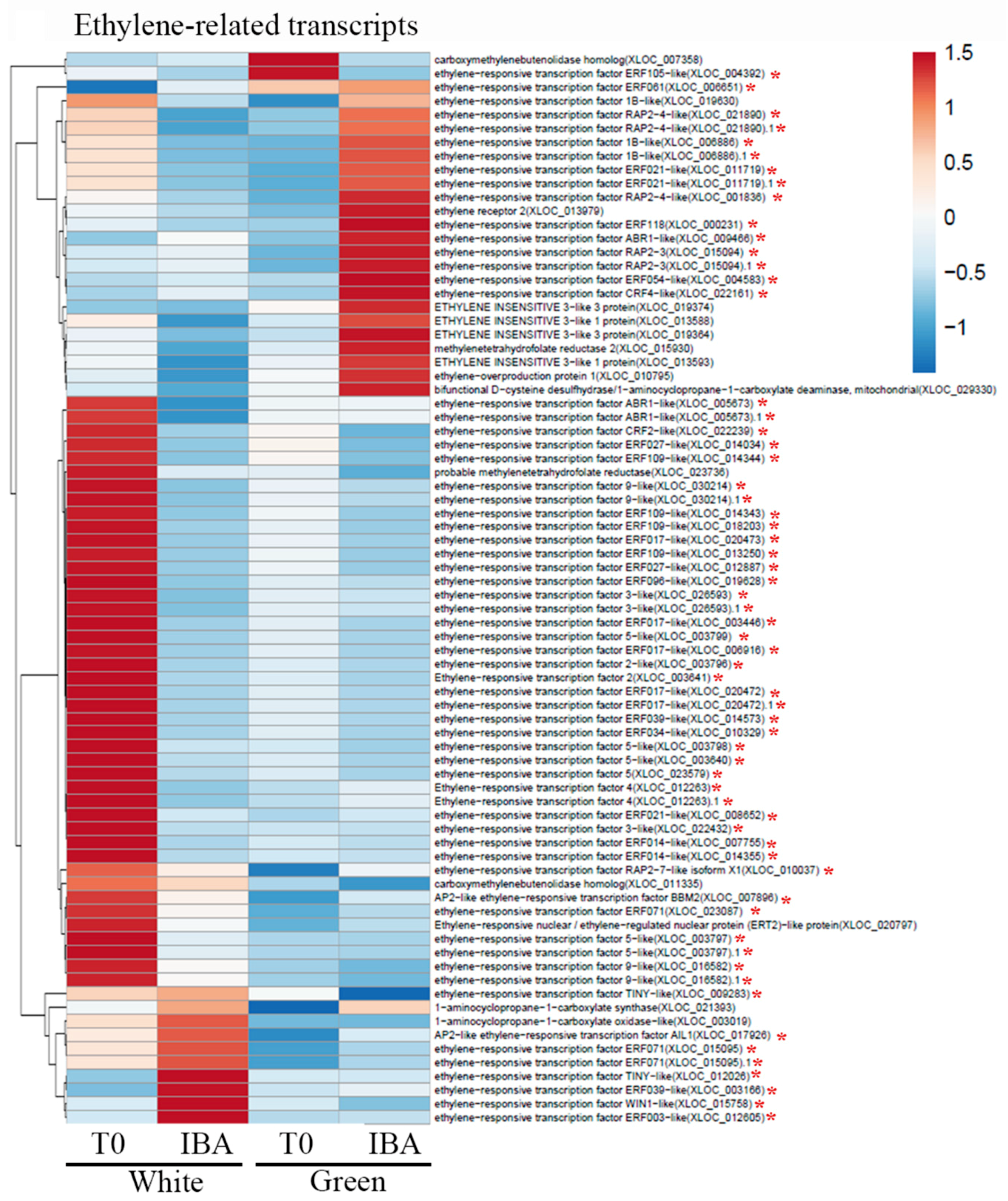 Plants 09 01481 g006