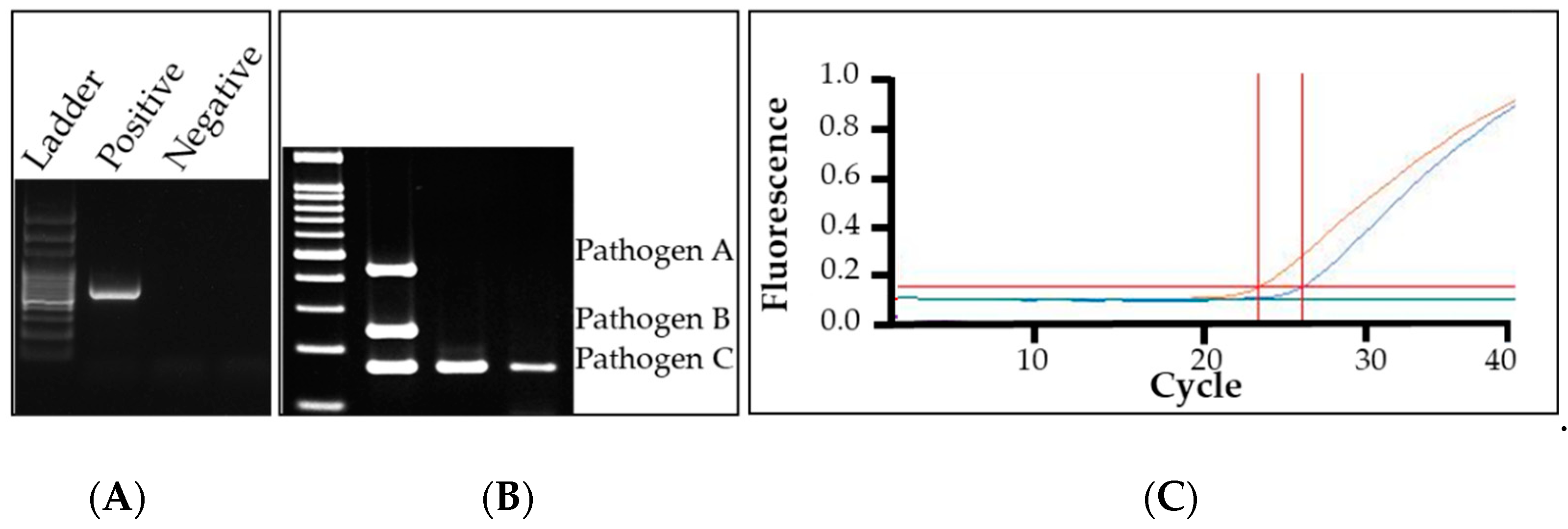Plants 09 01544 g005 Plants 09 01544 g005