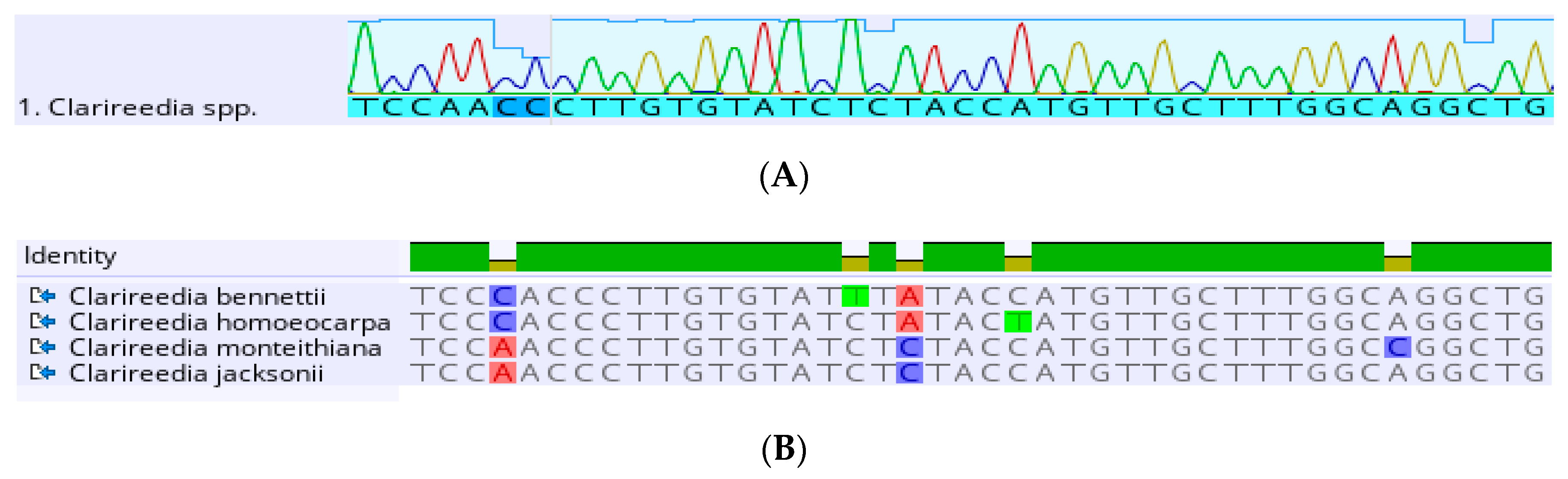 Plants 09 01544 g006 Plants 09 01544 g006