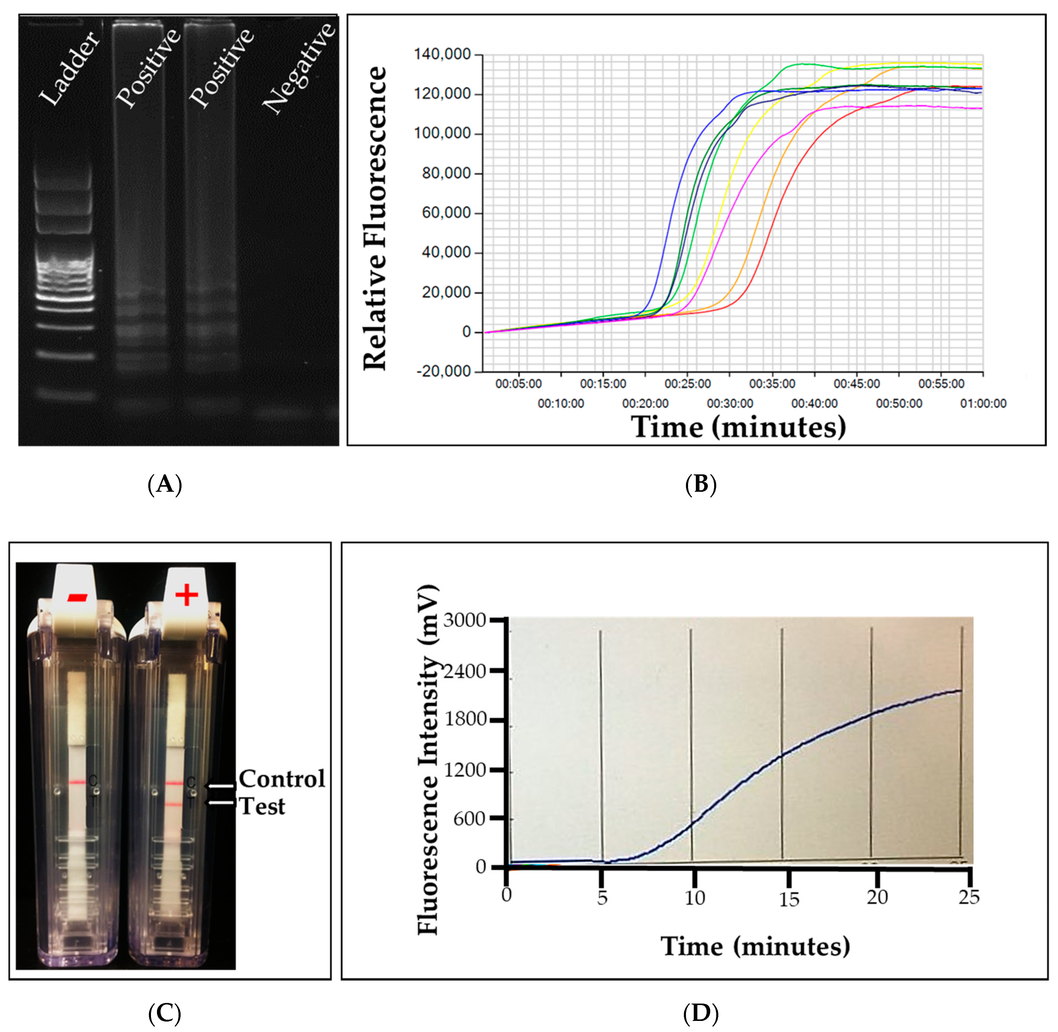 Plants 09 01544 g007 Plants 09 01544 g007