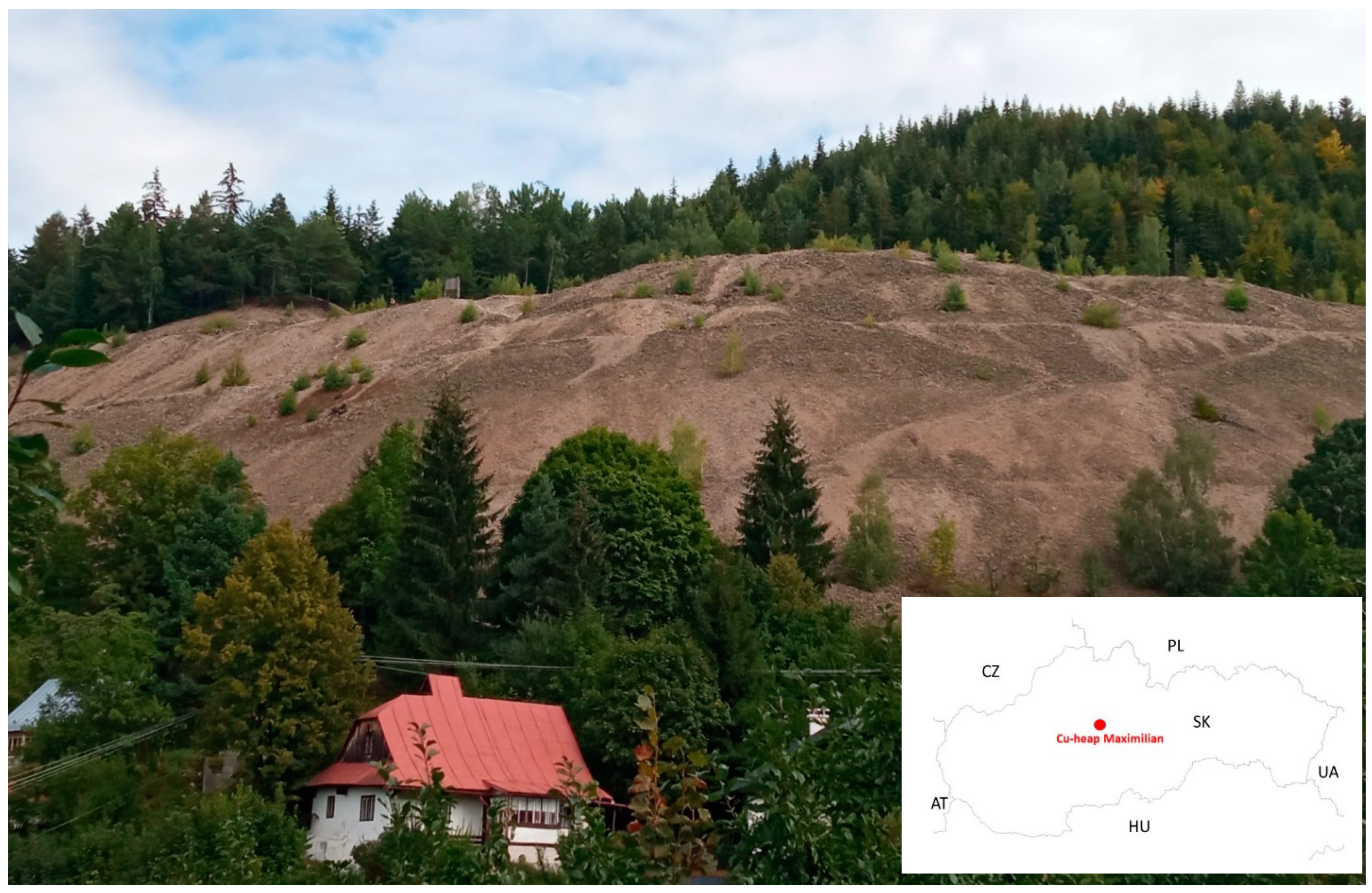 Plants 09 01591 g004 Plants 09 01591 g004