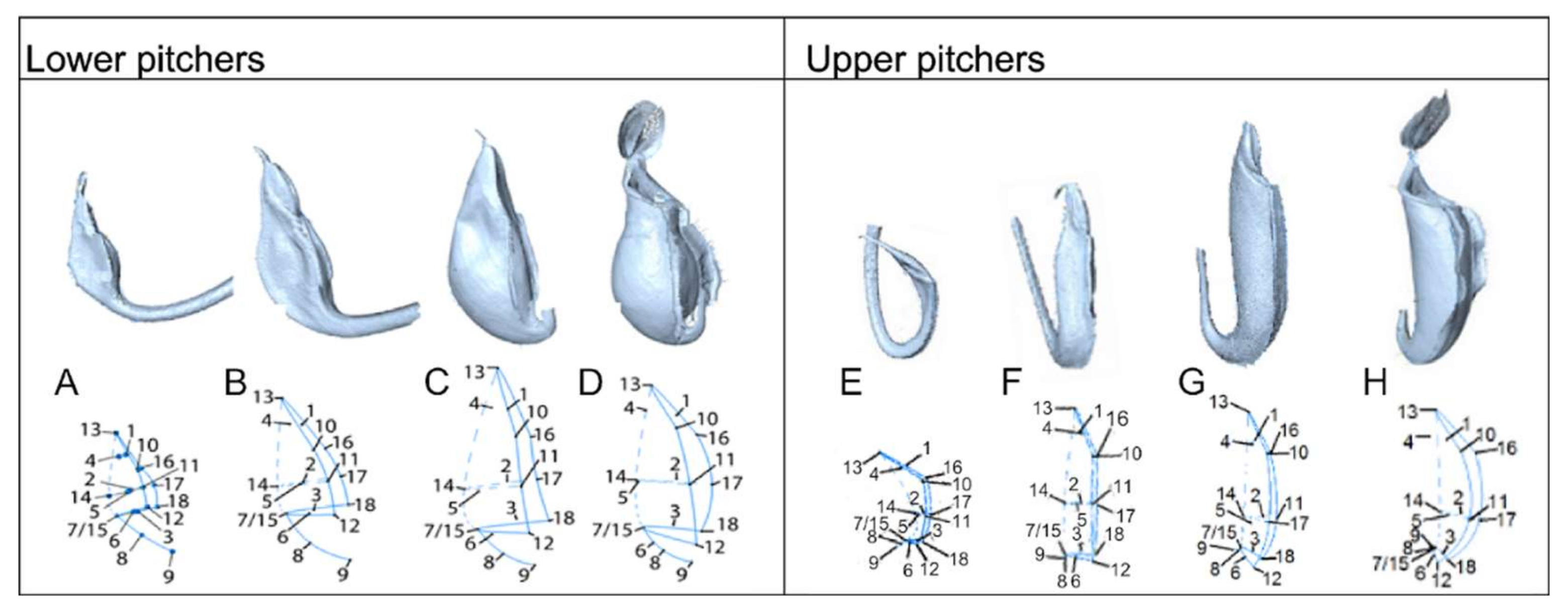 Plants 09 01603 g010