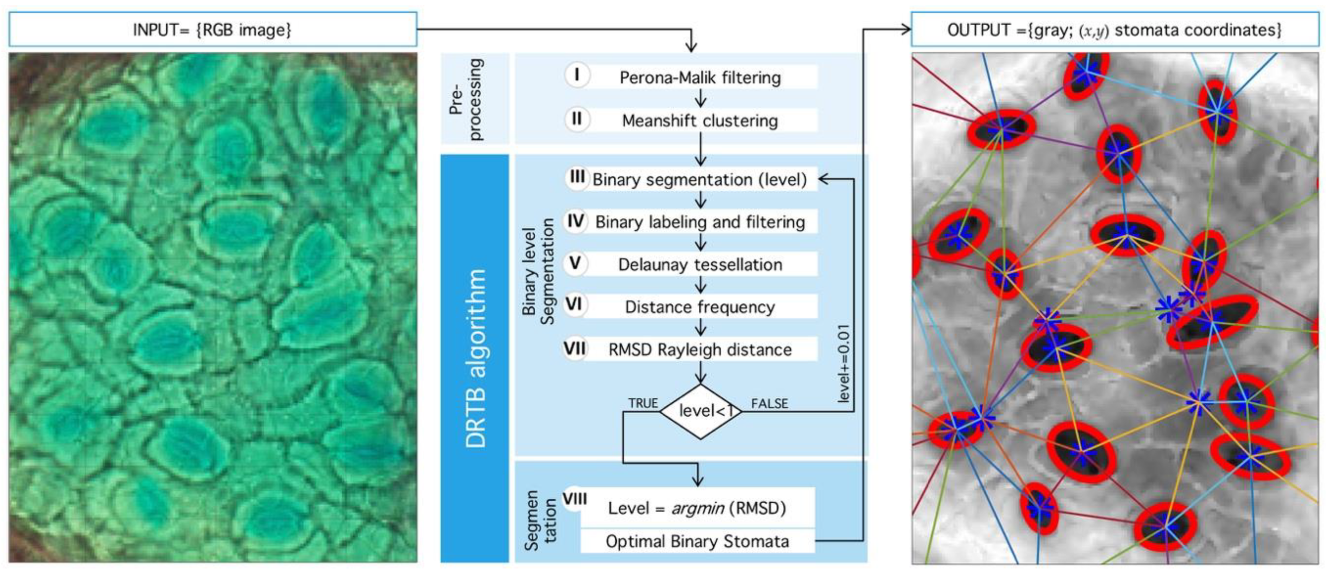 Plants 09 01613 g009