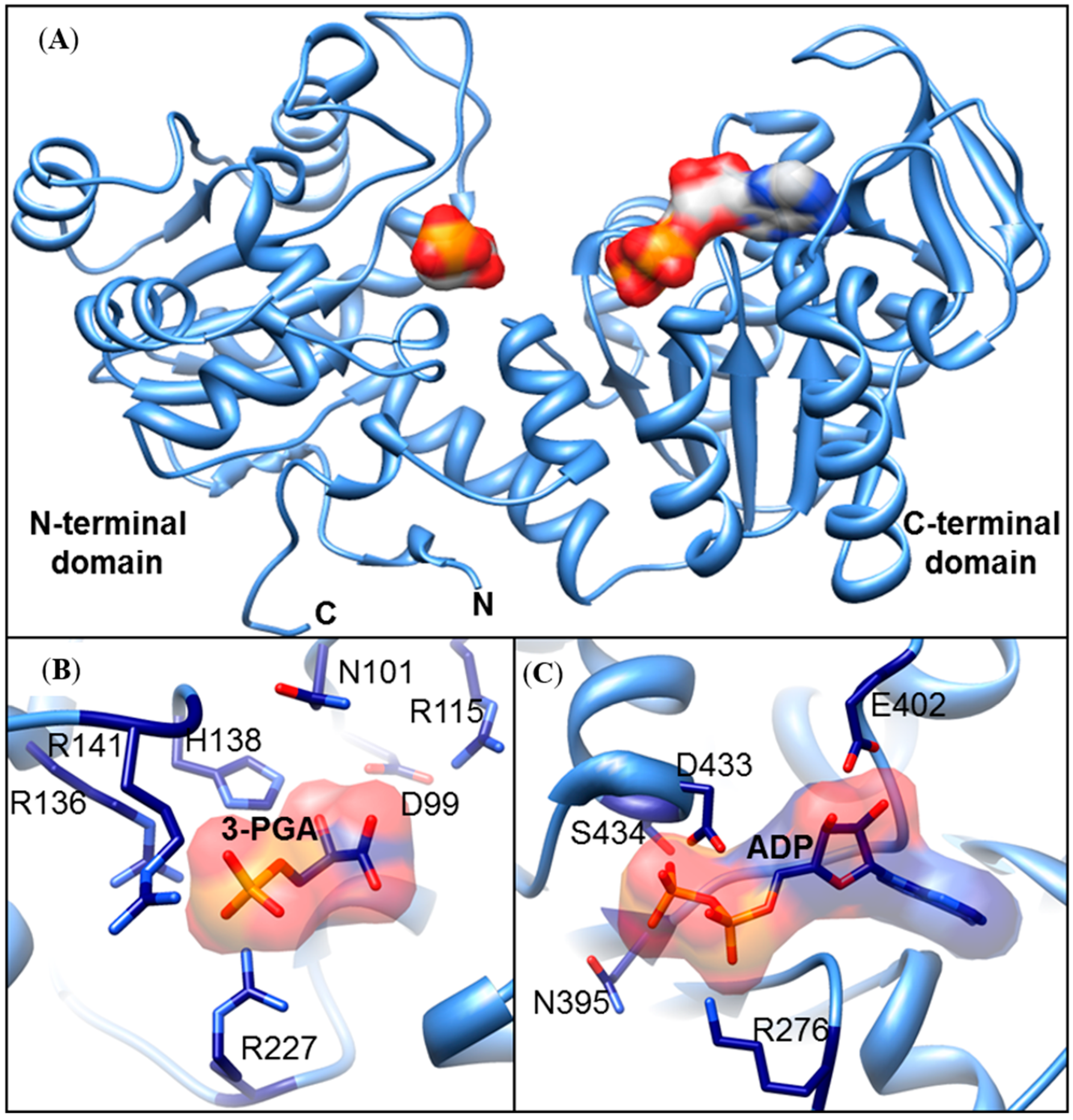 Plants 09 01639 g003