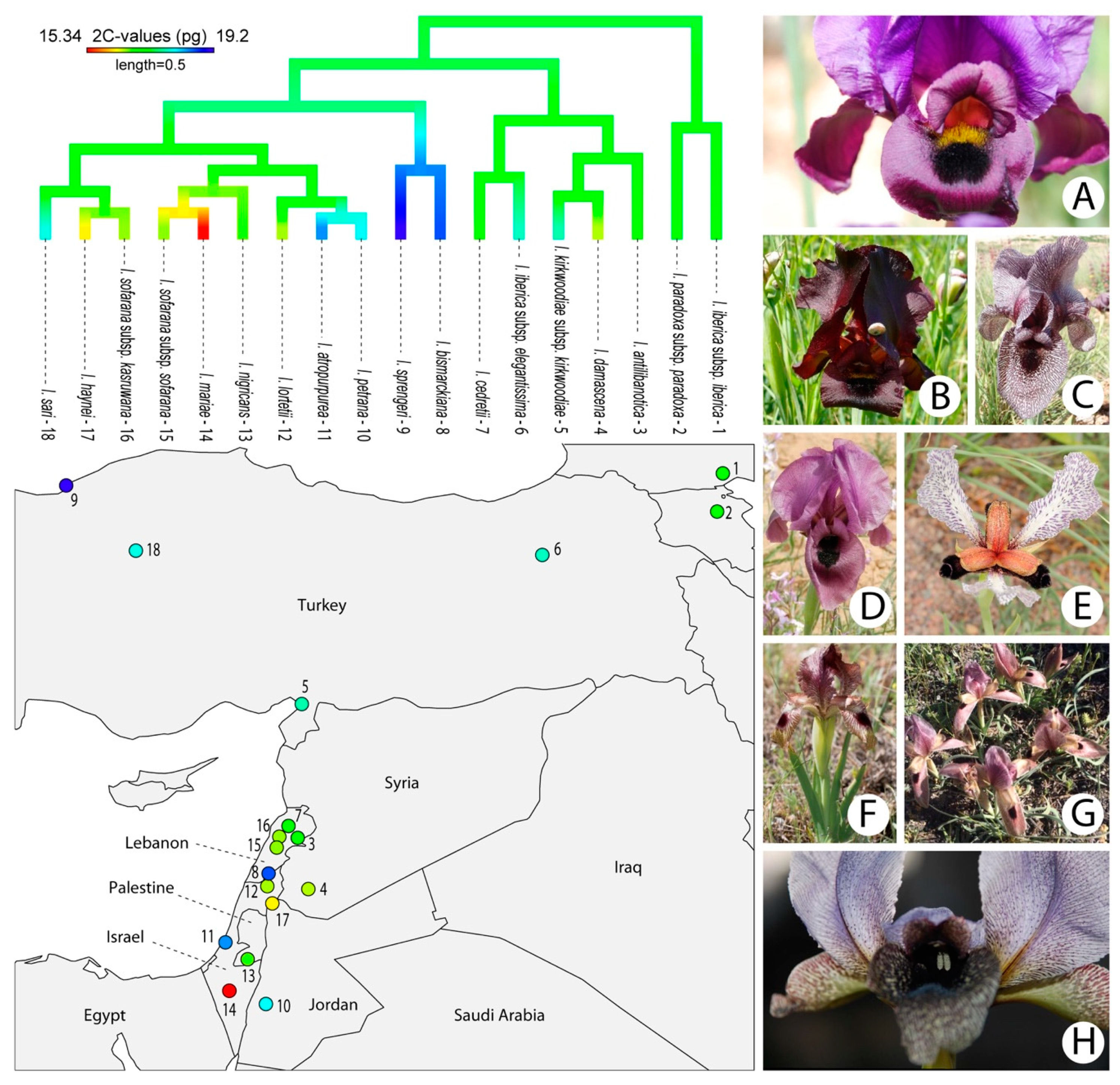 Plants 09 01687 g003 Plants 09 01687 g003