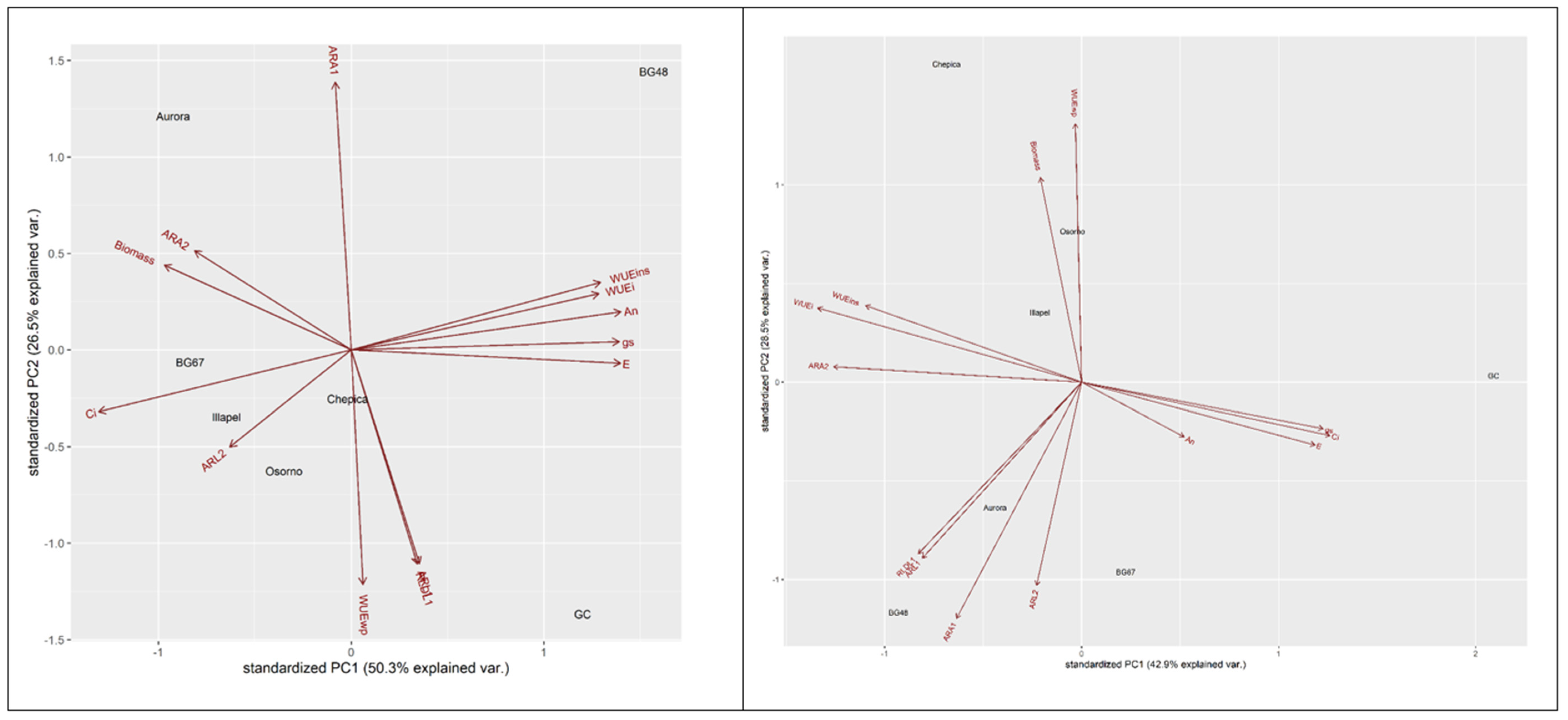 Plants 09 01697 g003