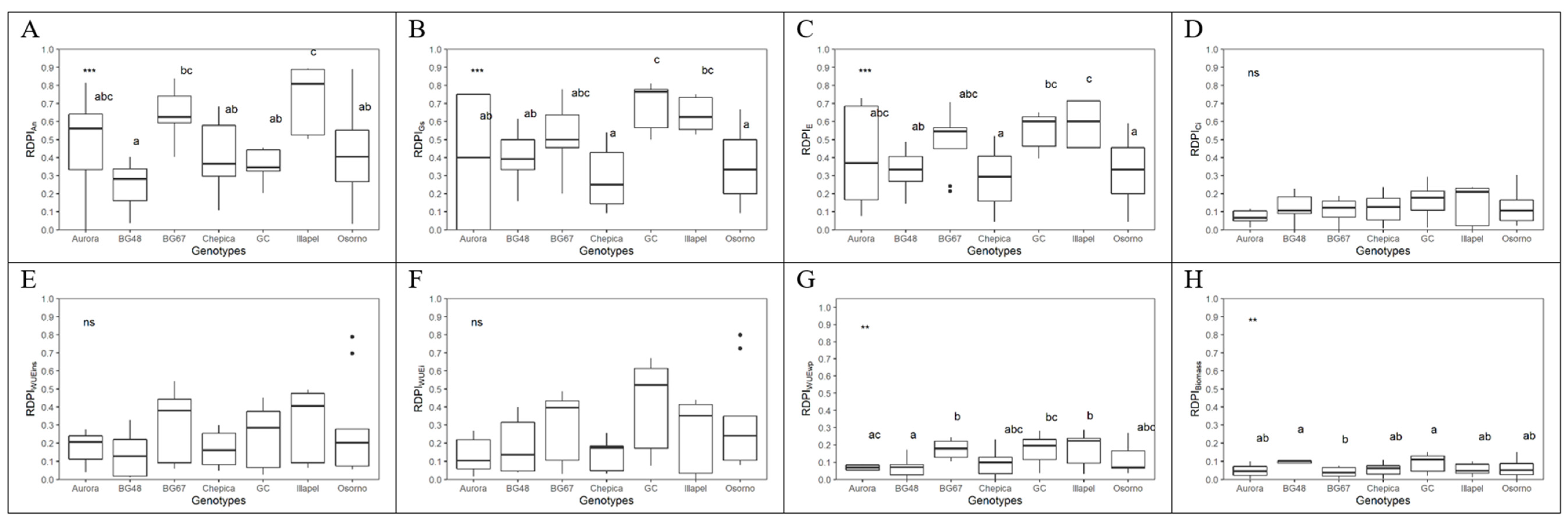 Plants 09 01697 g004