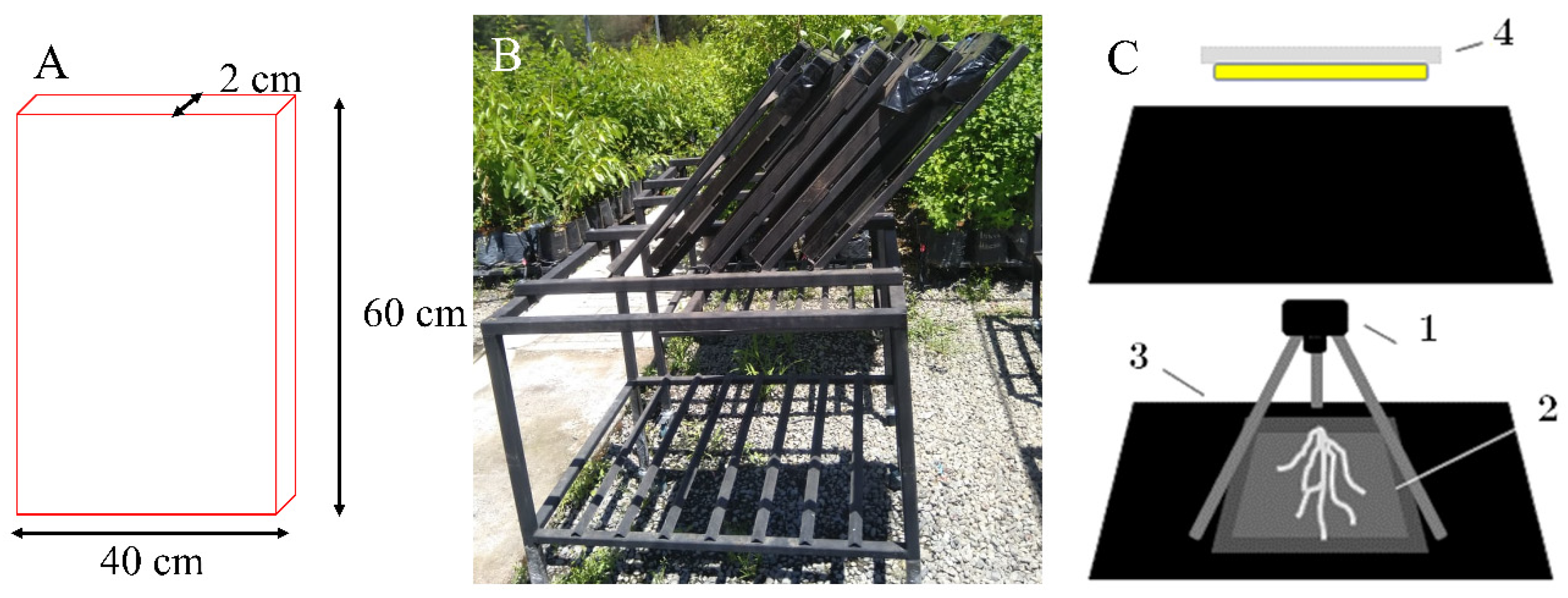 Plants 09 01697 g006