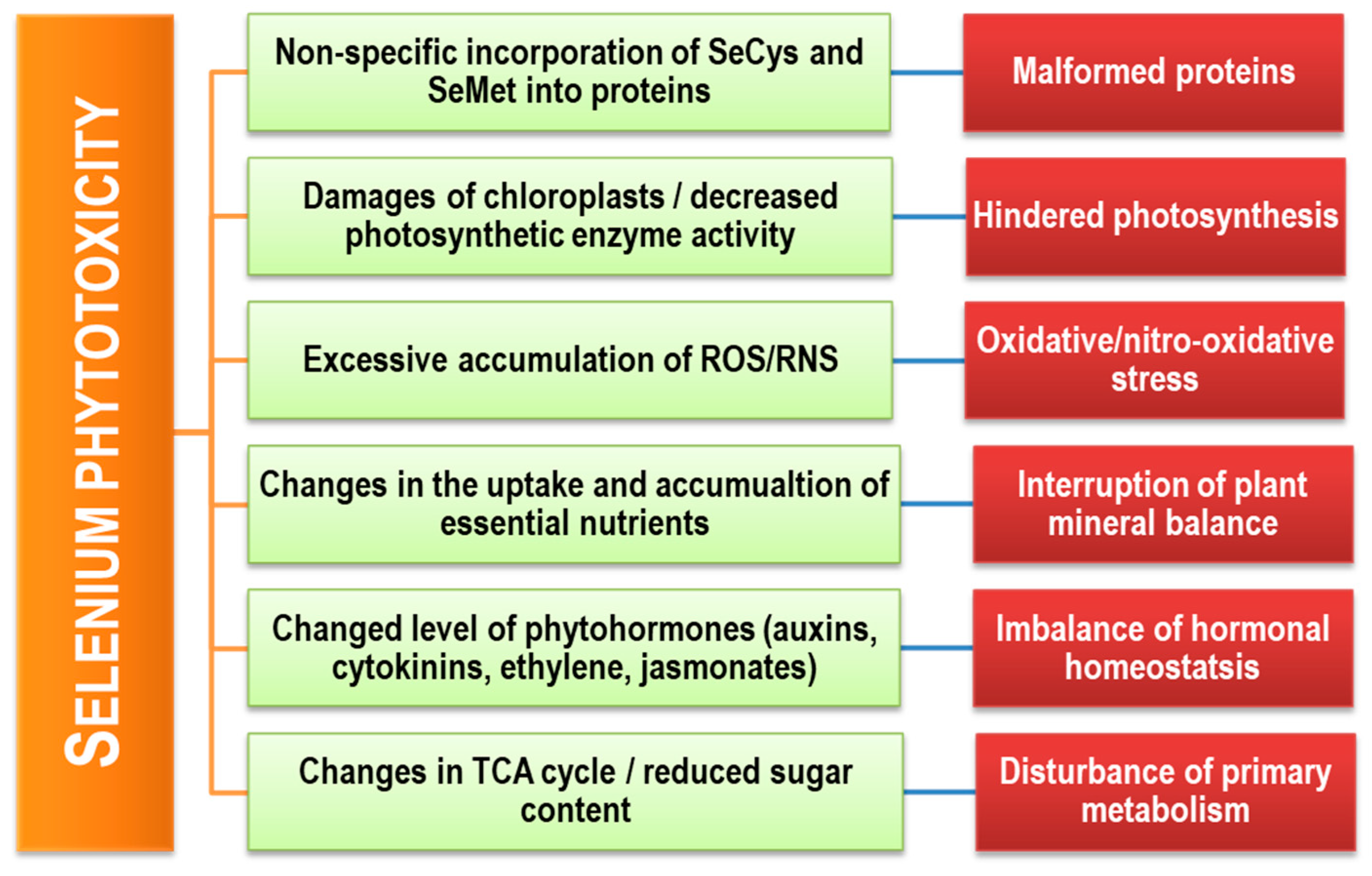 Plants Free Full Text Selenium Toxicity In Plants And Environment Biogeochemistry And Remediation Possibilities Html