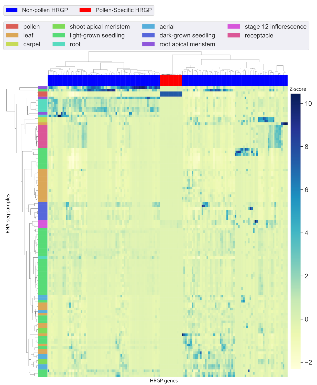 Plants 09 01751 g002