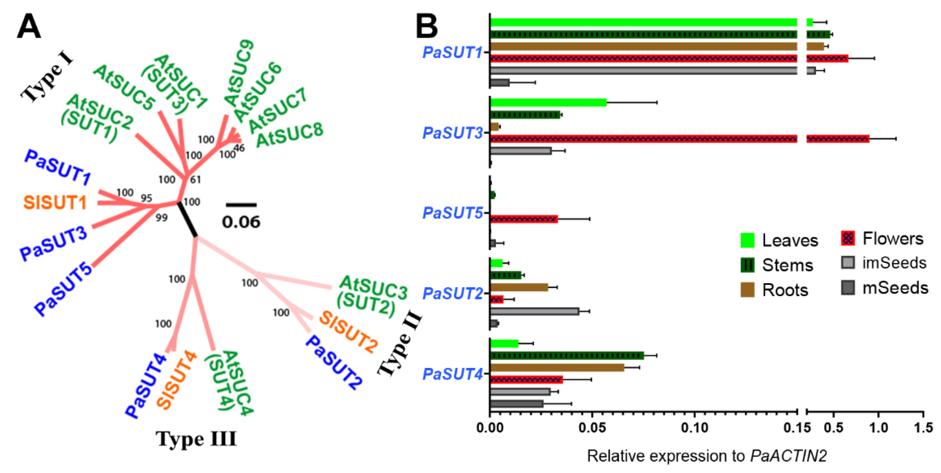 Plants 09 01770 g001