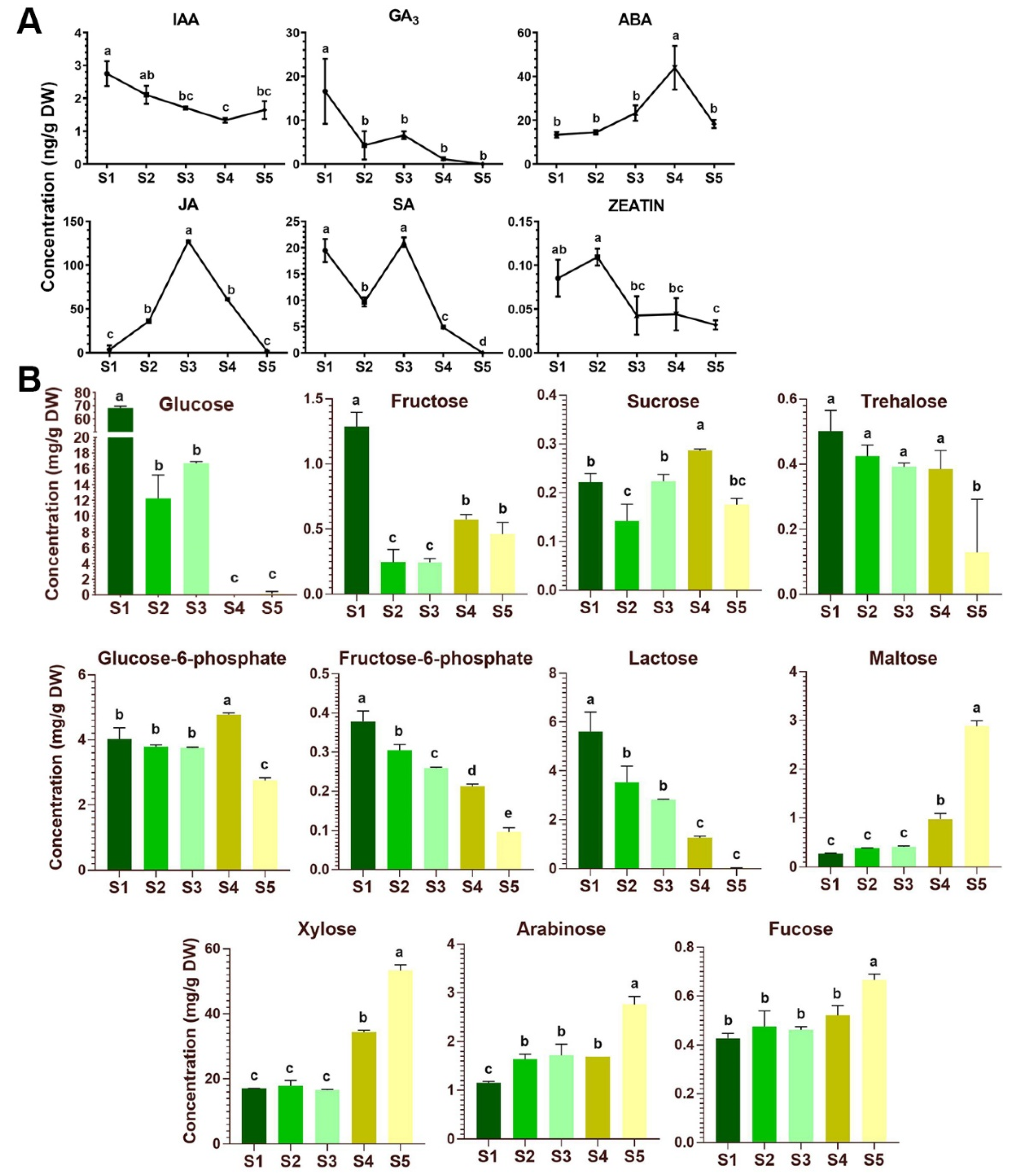 Plants 09 01770 g005