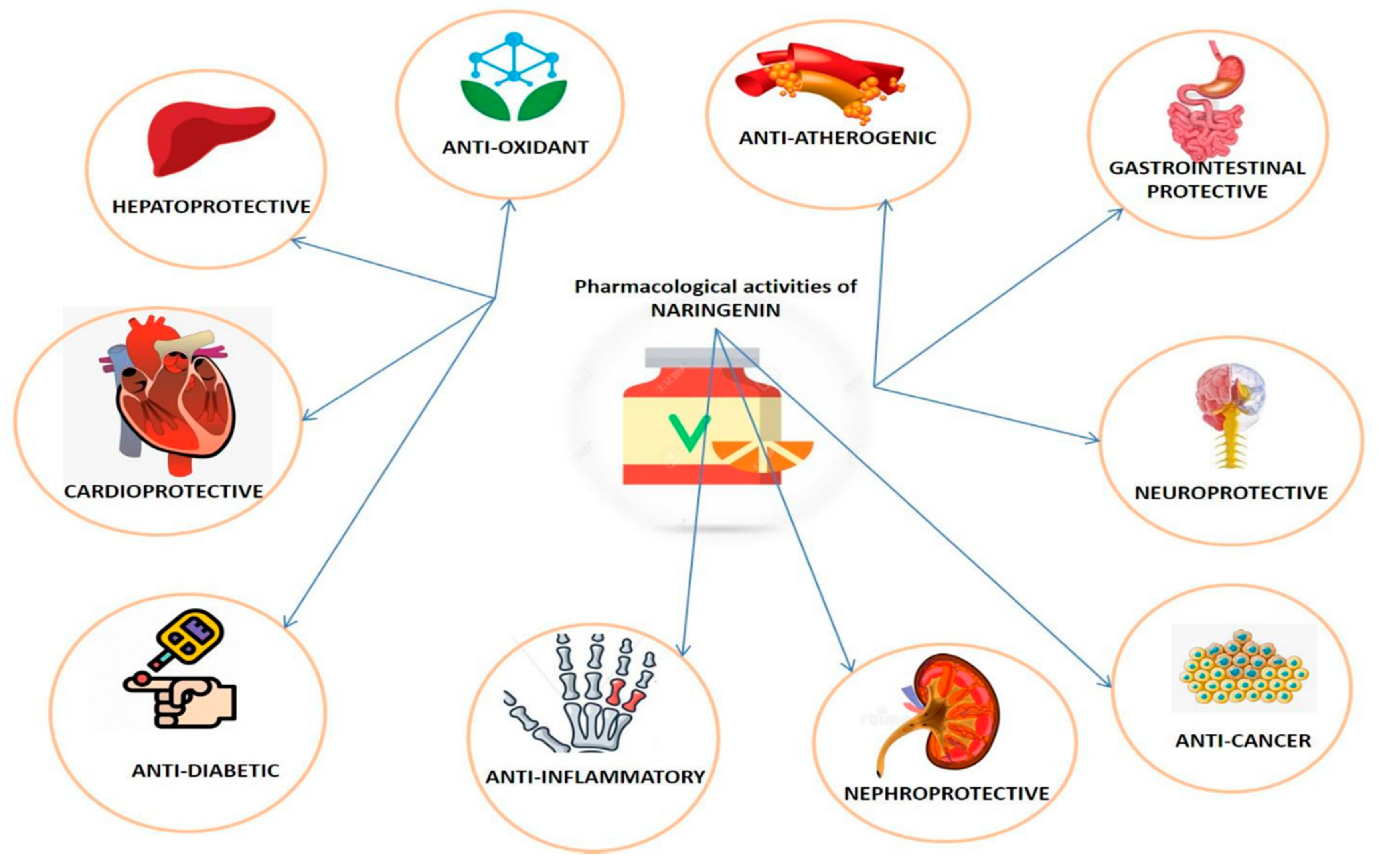 Plants 09 01784 g002