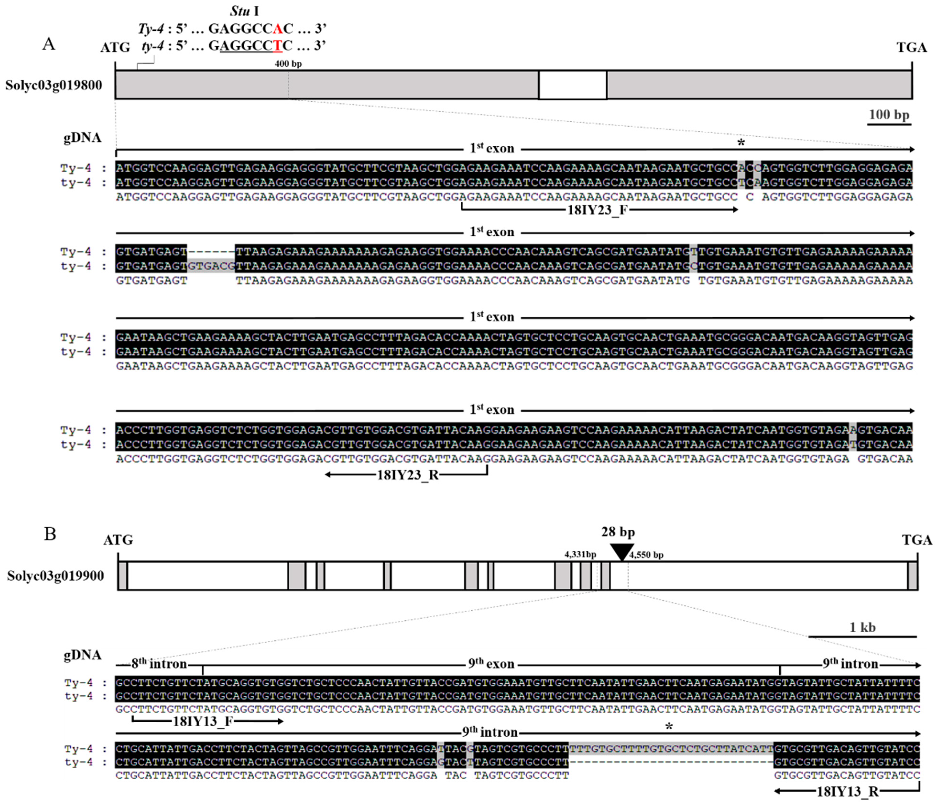 Plants 10 00009 g003 Plants 10 00009 g003