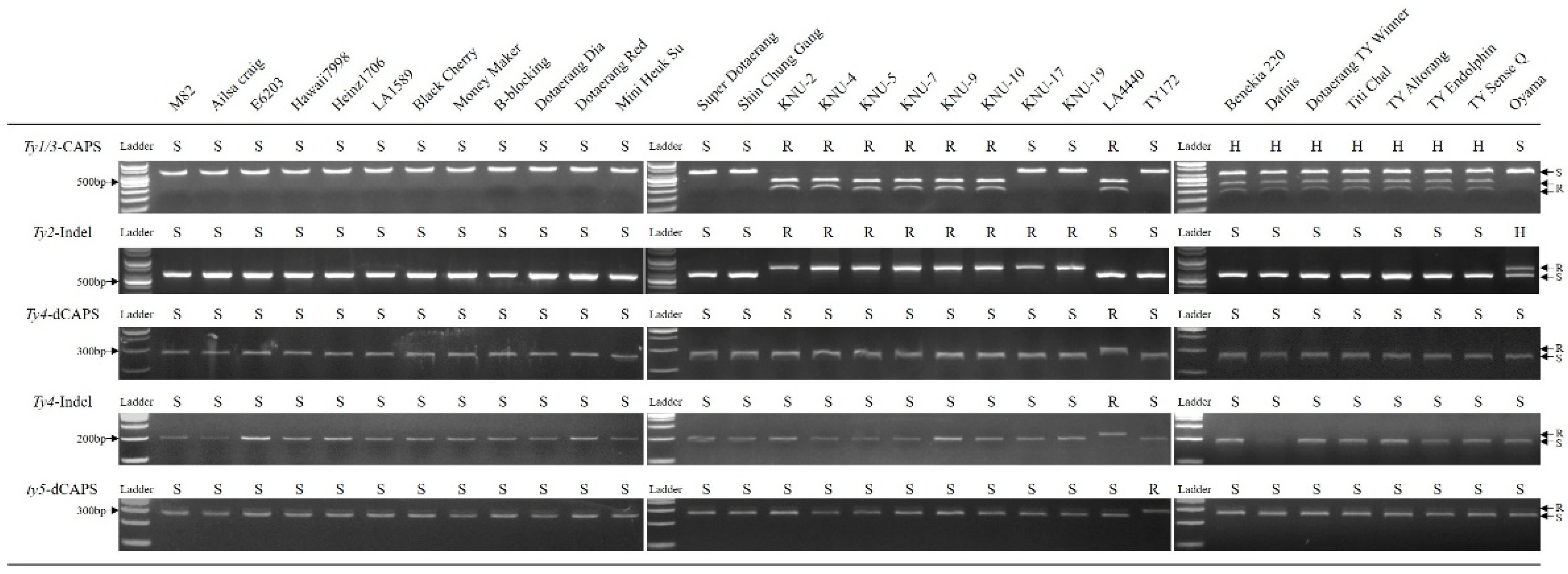 Plants 10 00009 g005 Plants 10 00009 g005