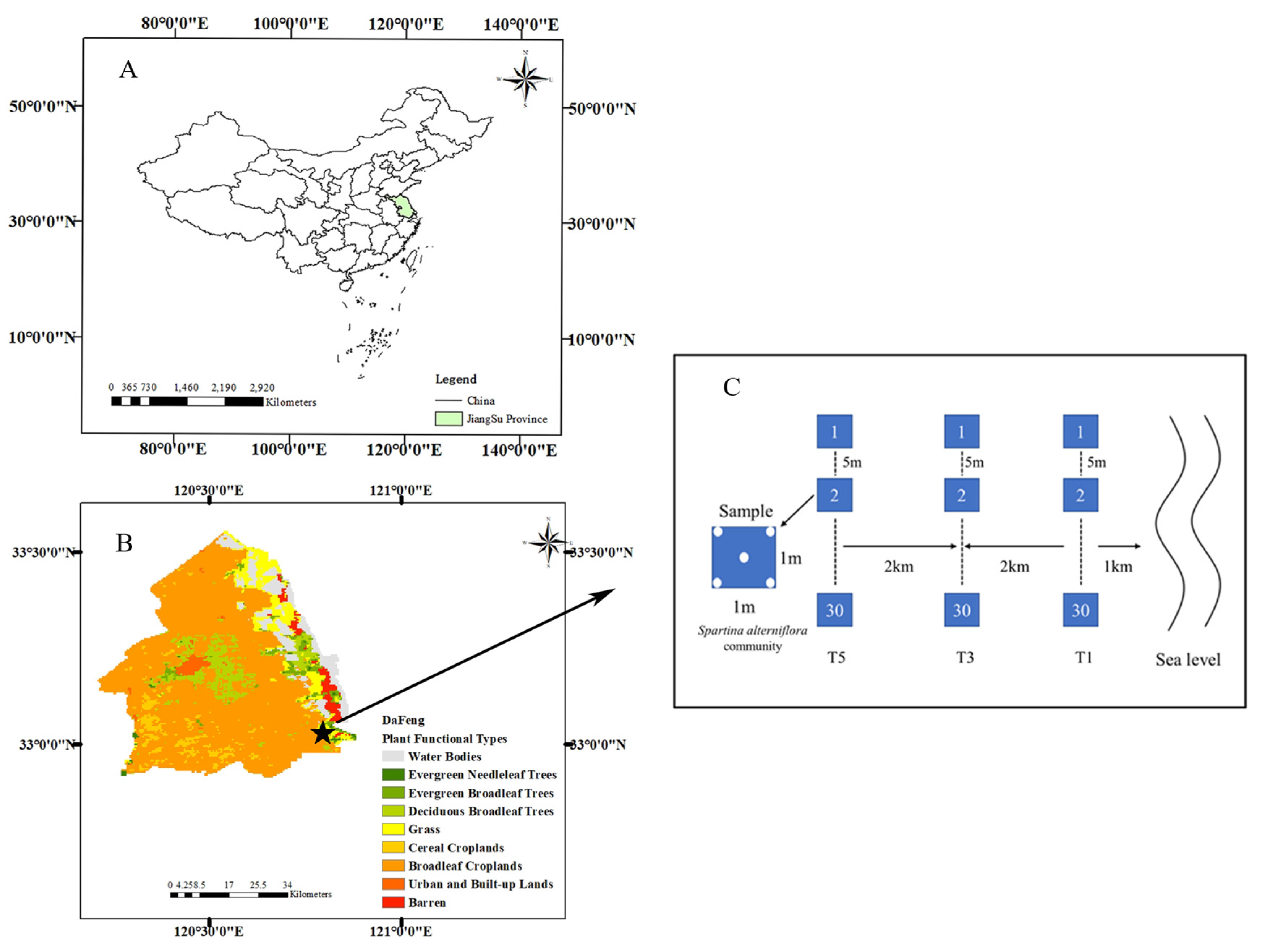 Plants 10 00013 g001