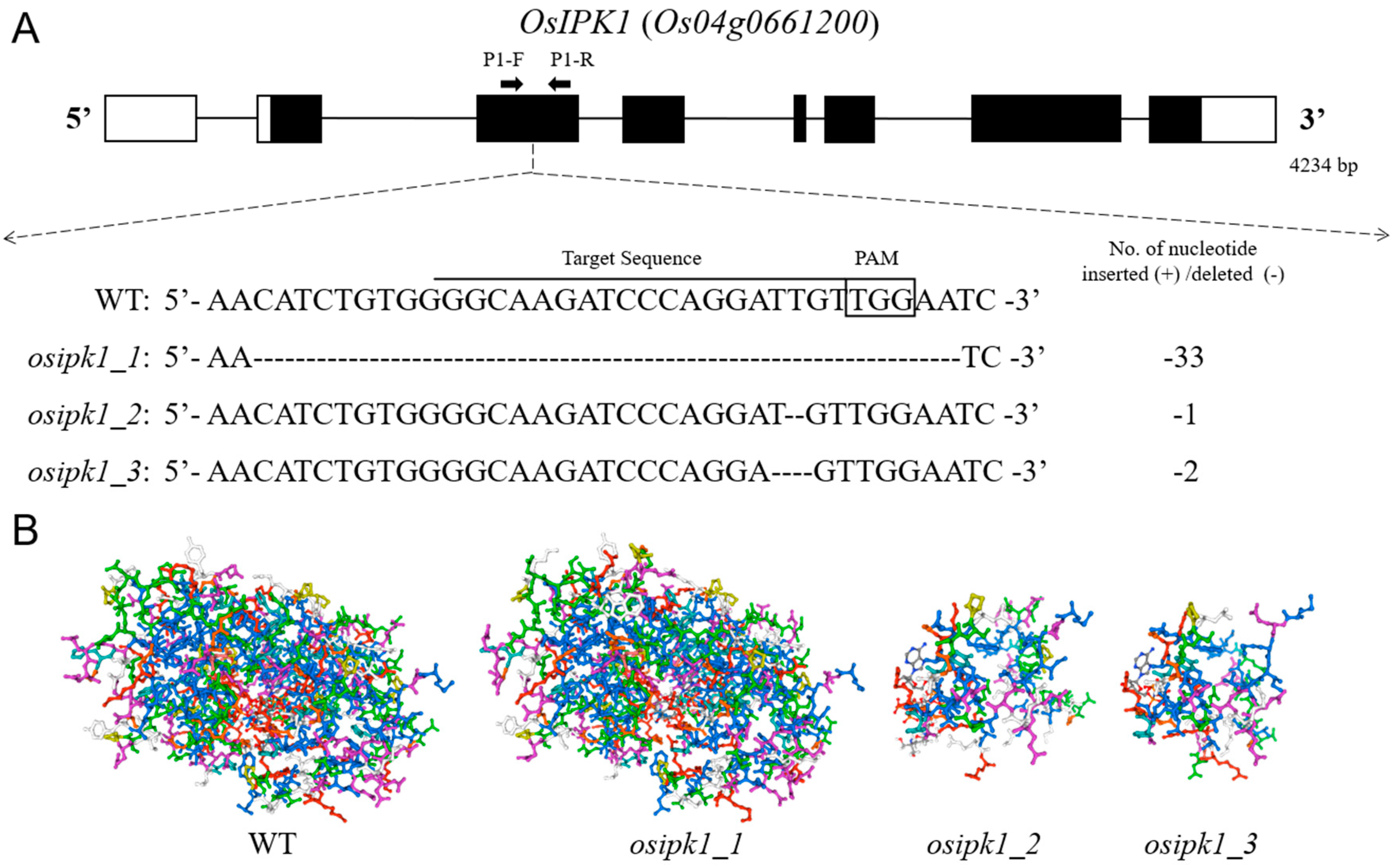 Plants 10 00023 g001 Plants 10 00023 g001