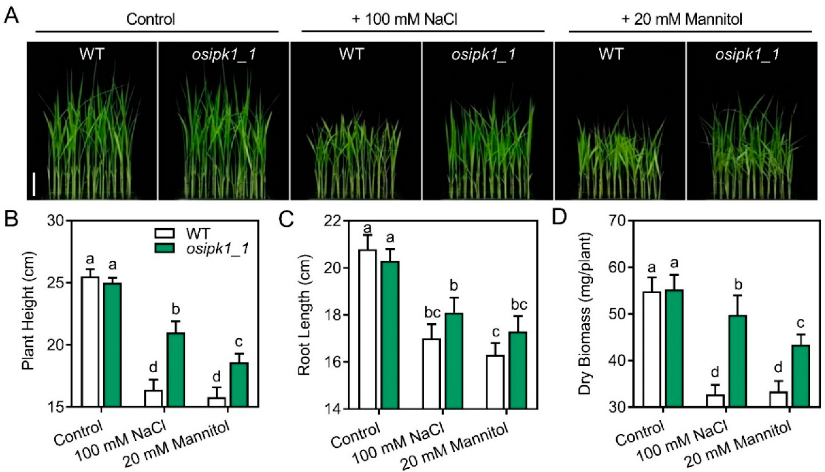 Plants 10 00023 g004 Plants 10 00023 g004