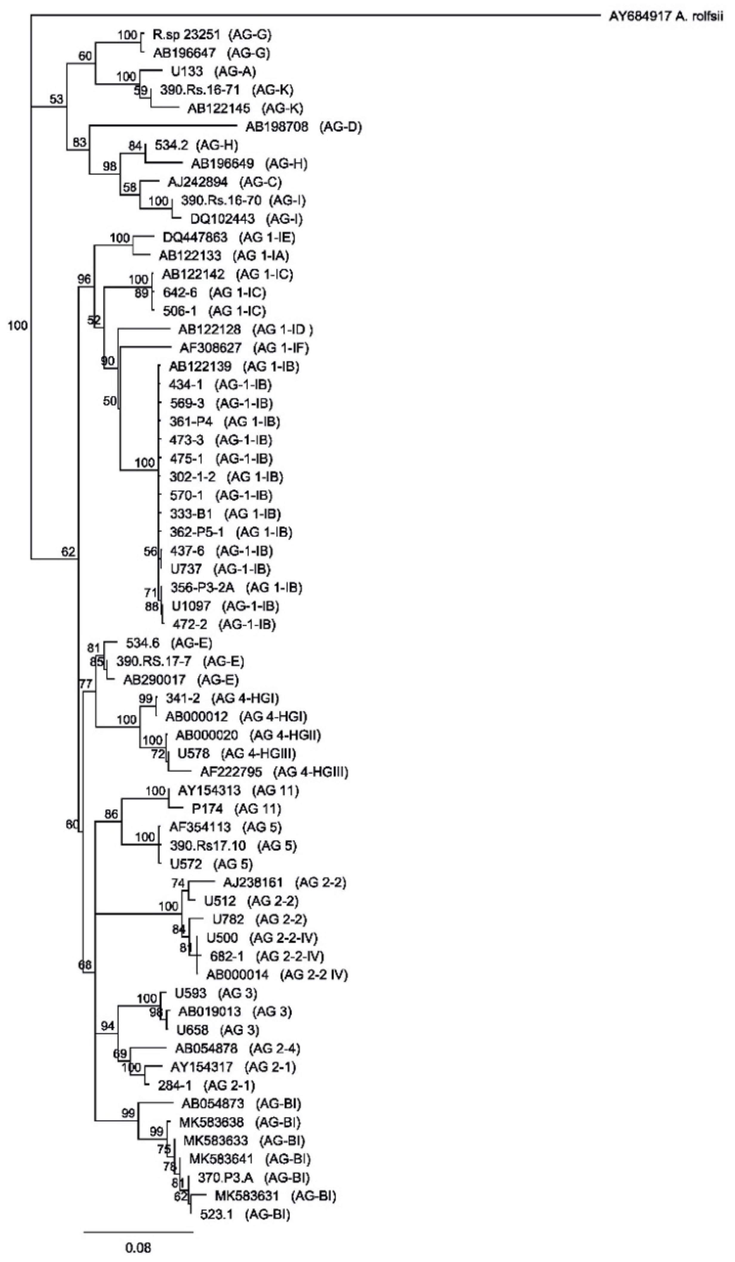 Plants 10 00057 g001
