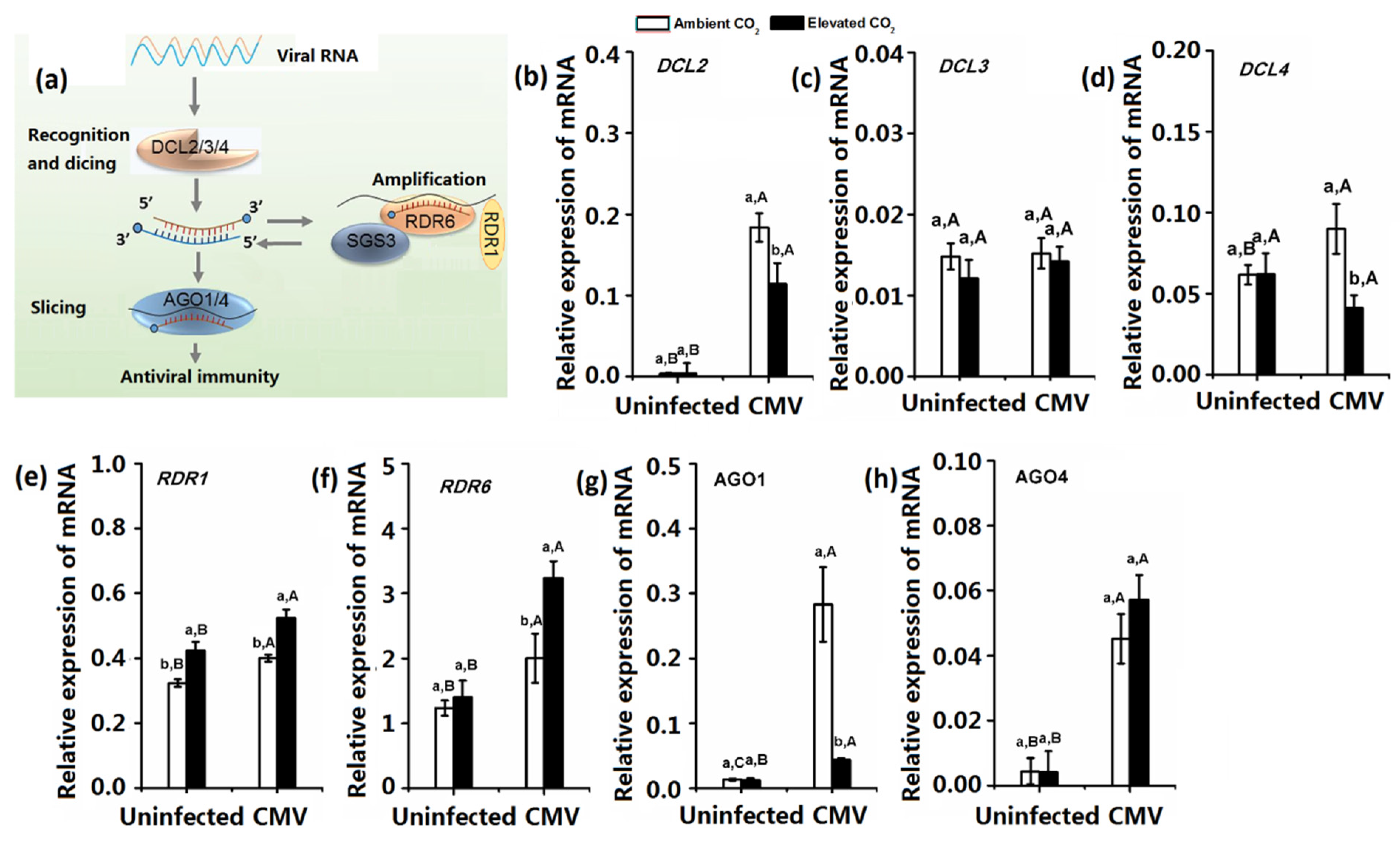 Plants 10 00059 g002