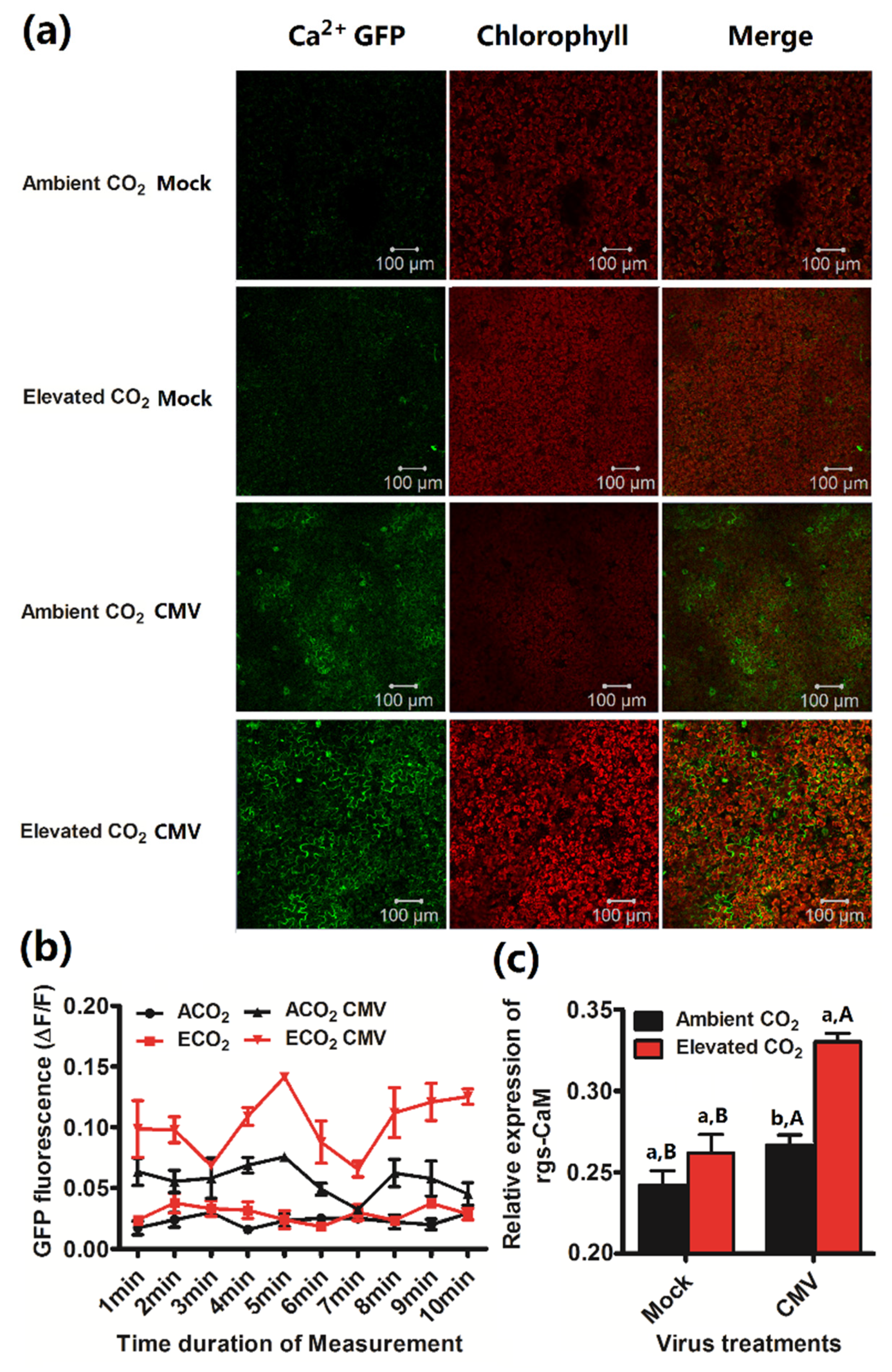 Plants 10 00059 g004