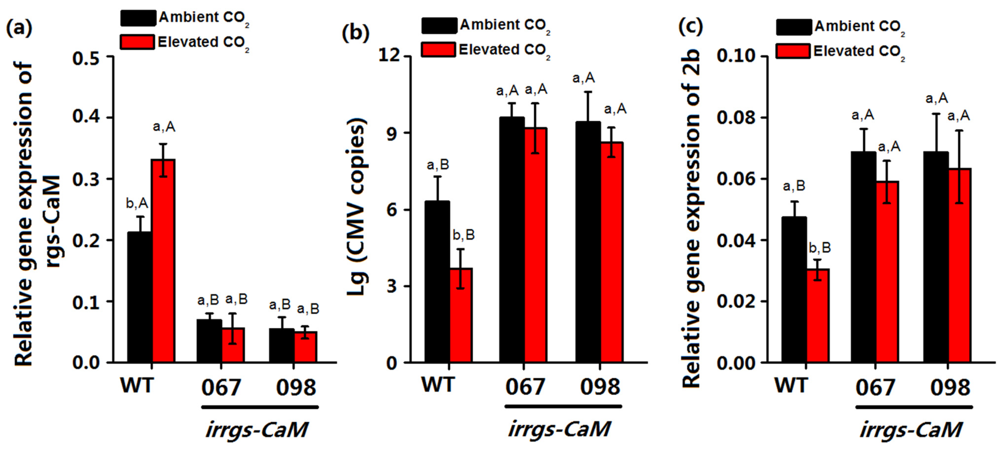 Plants 10 00059 g005