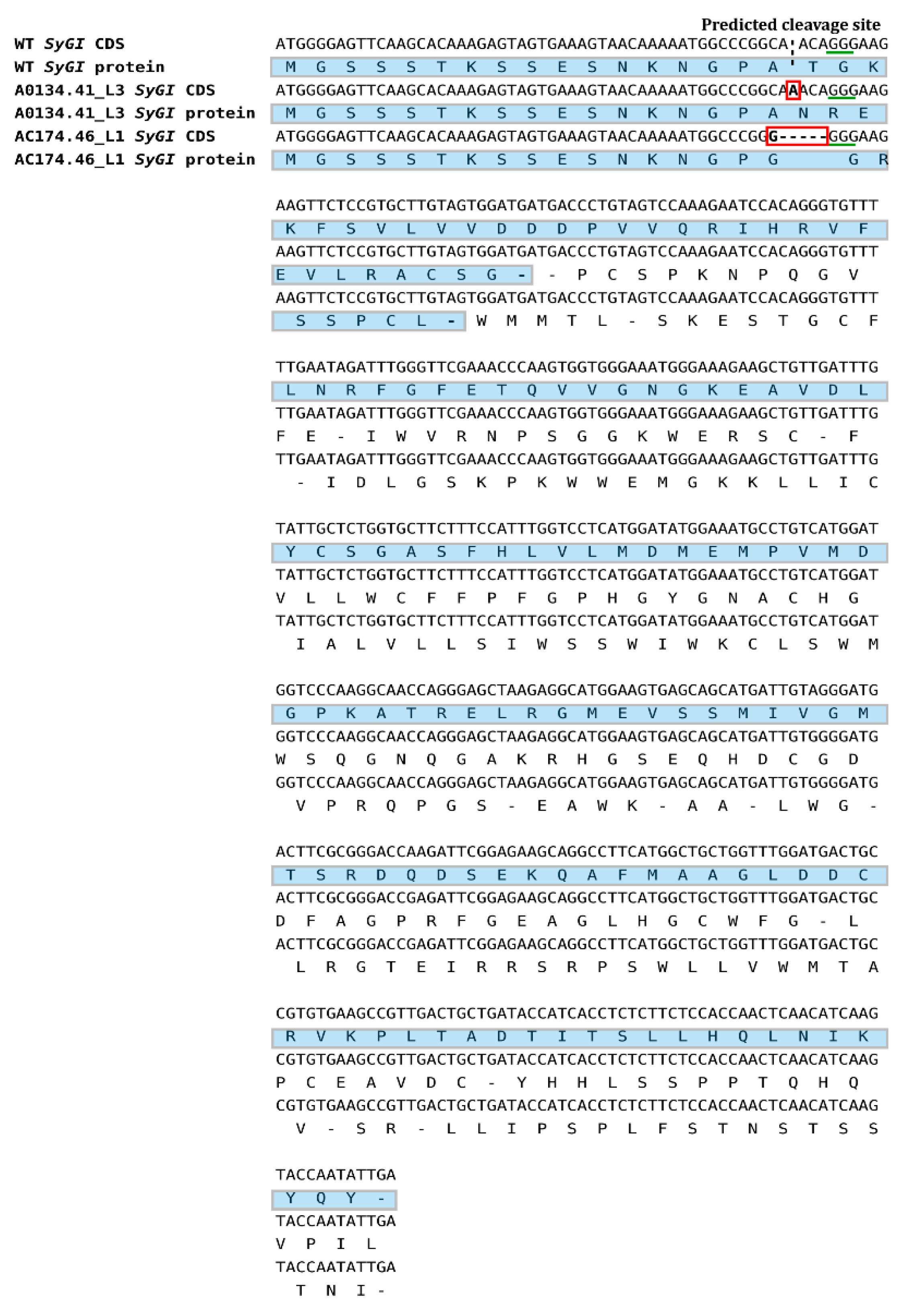 Plants 10 00062 g006 Plants 10 00062 g006