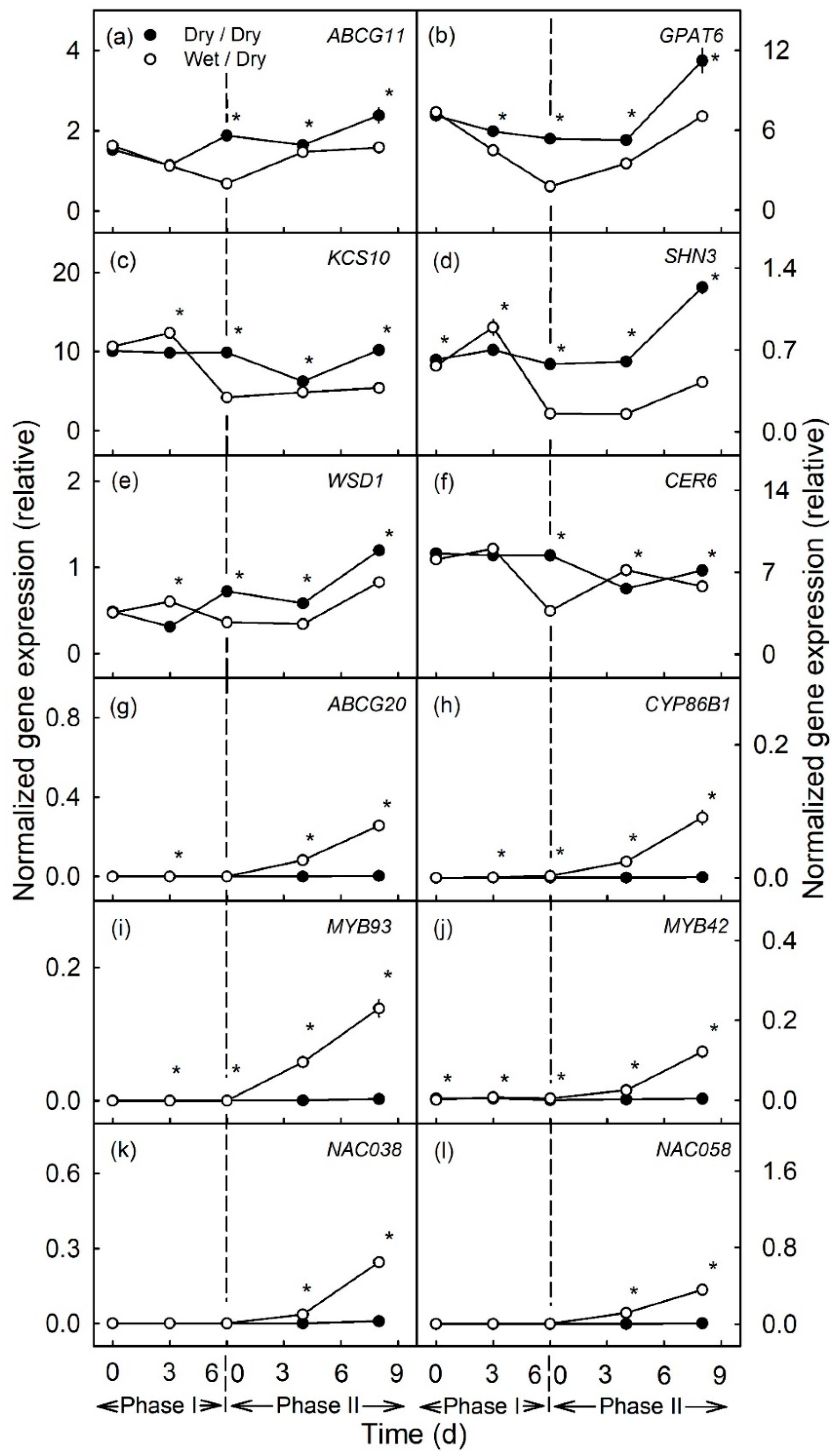 Plants 10 00065 g001 Plants 10 00065 g001