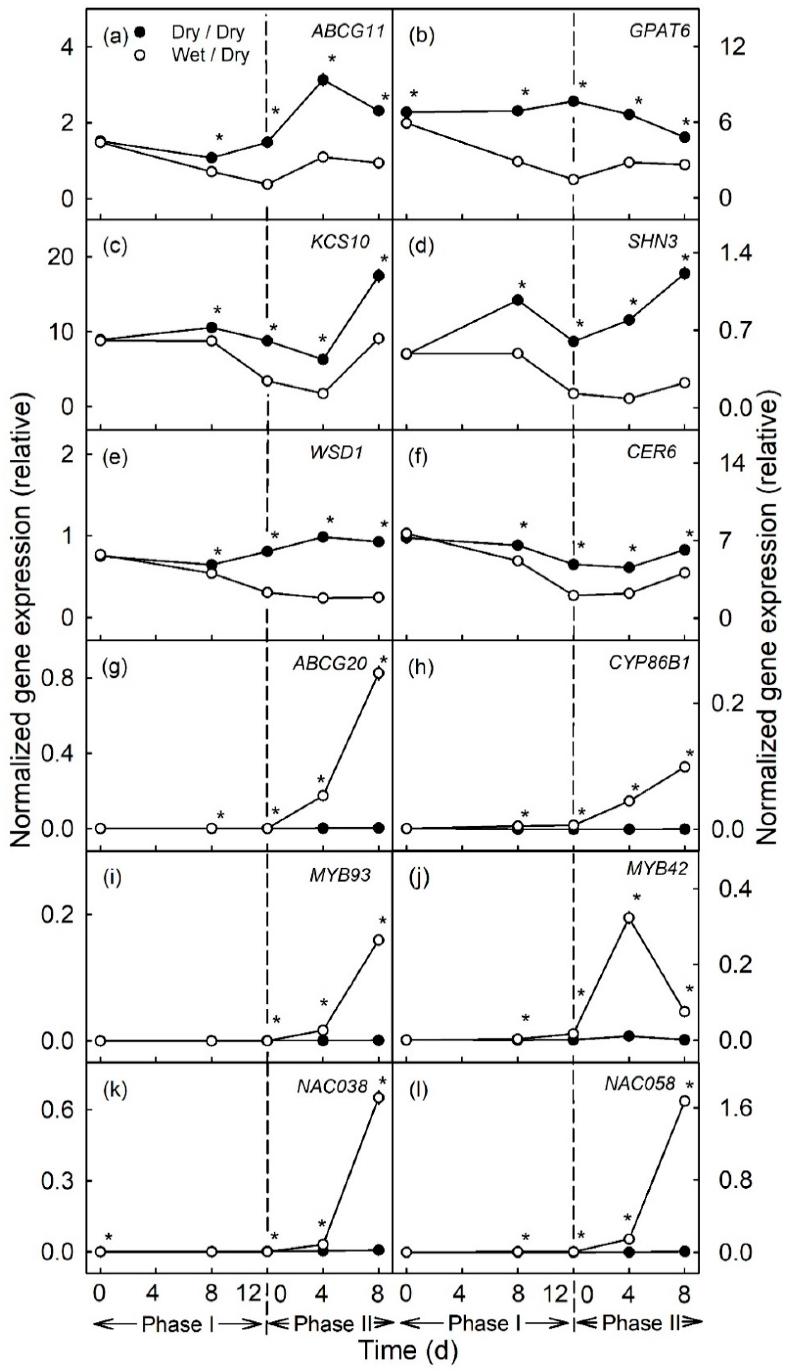 Plants 10 00065 g002 Plants 10 00065 g002