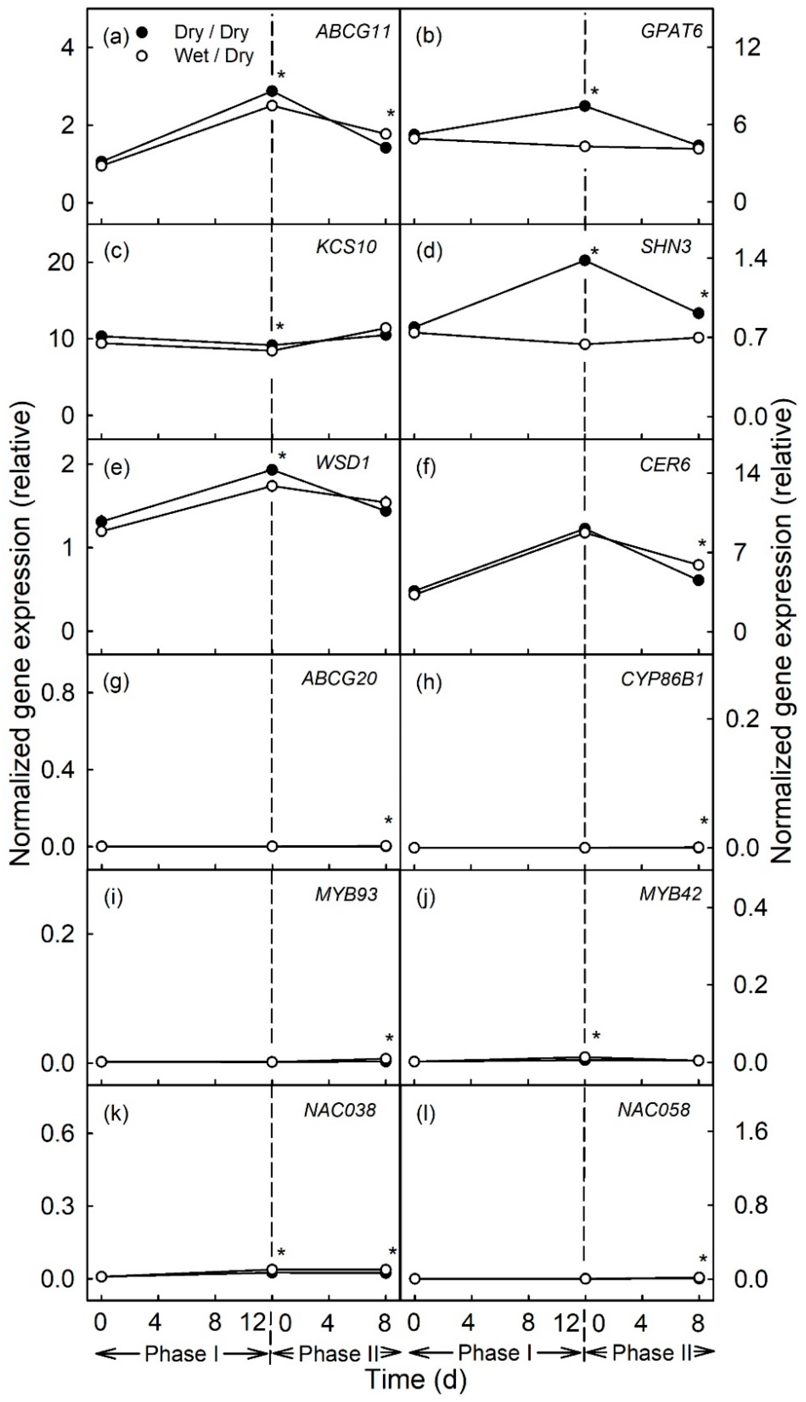 Plants 10 00065 g004 Plants 10 00065 g004