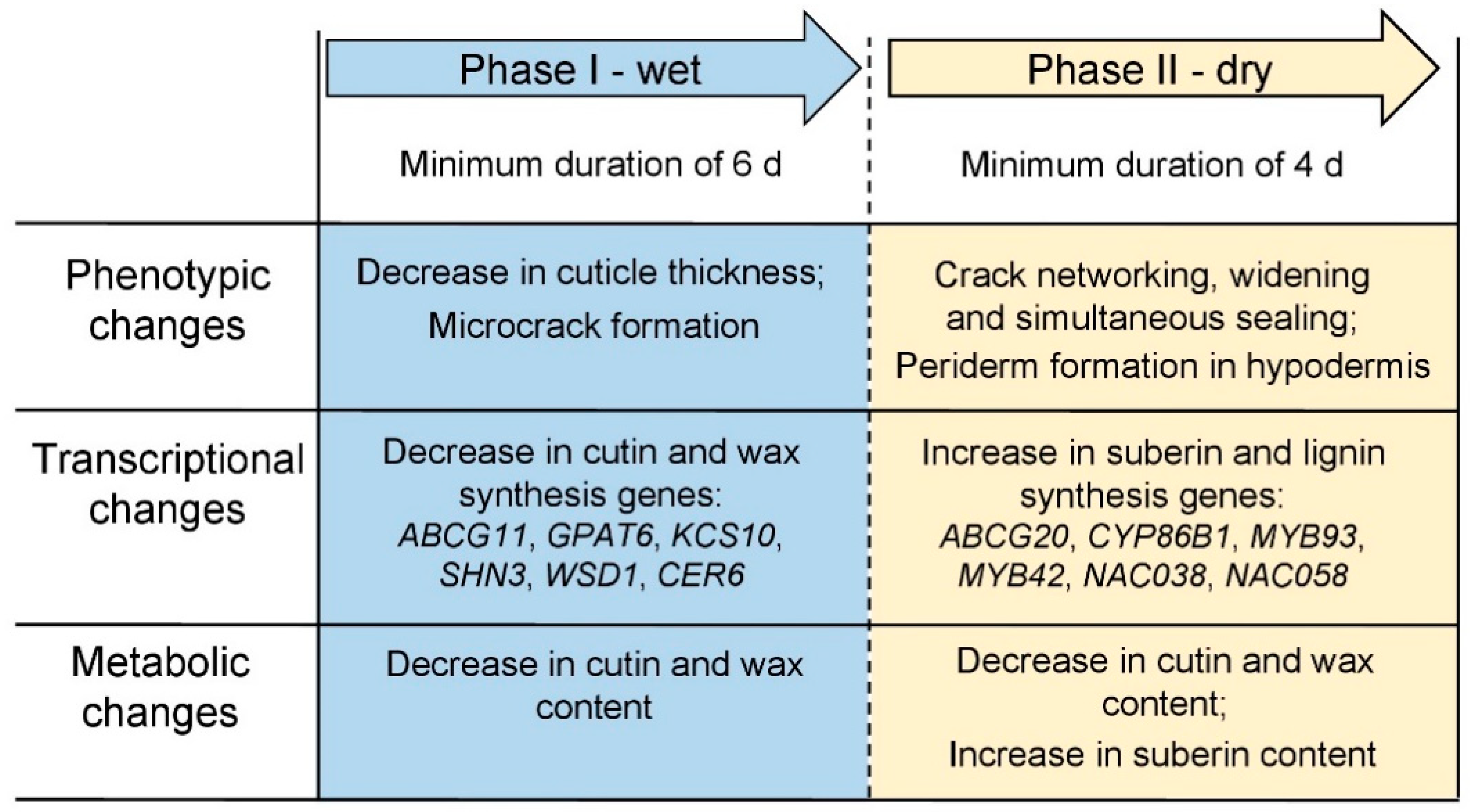 Plants 10 00065 g010 Plants 10 00065 g010