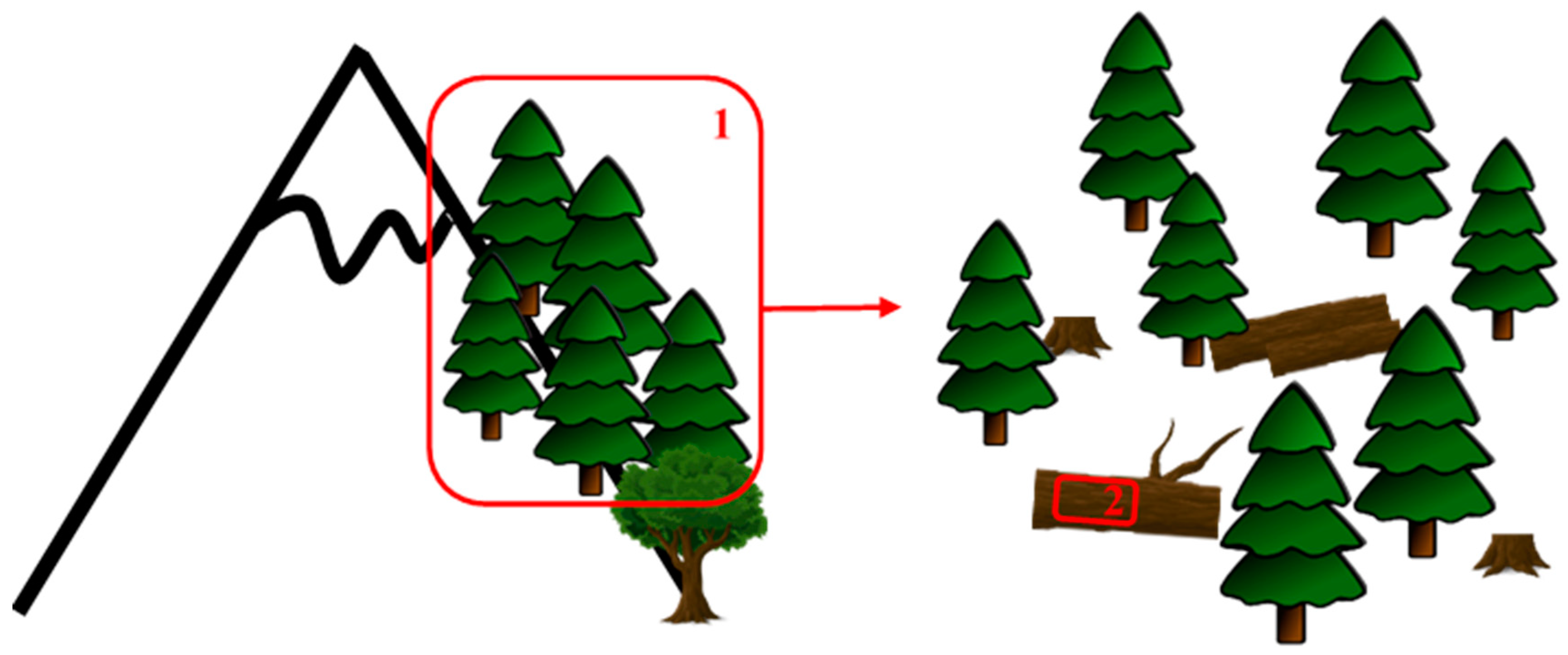 Plants 10 00083 g007 Plants 10 00083 g007