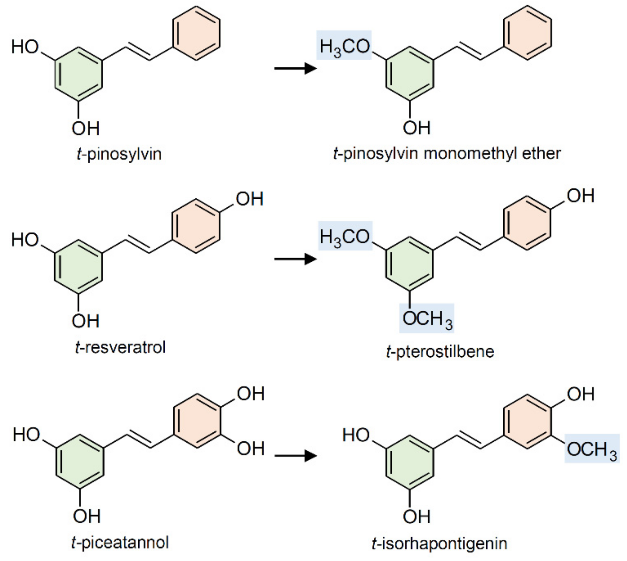 Plants 10 00090 g006