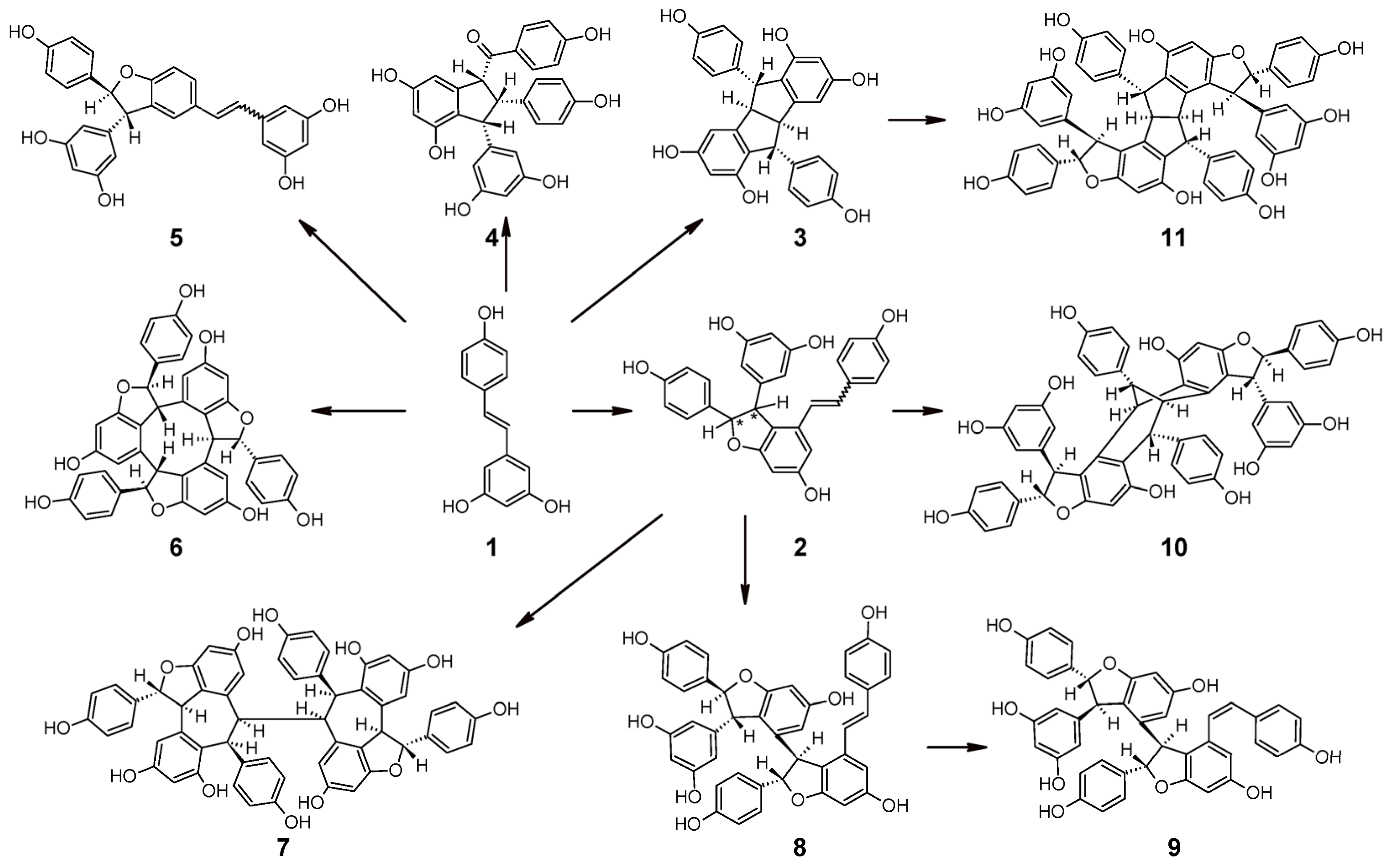 Plants 10 00090 g008