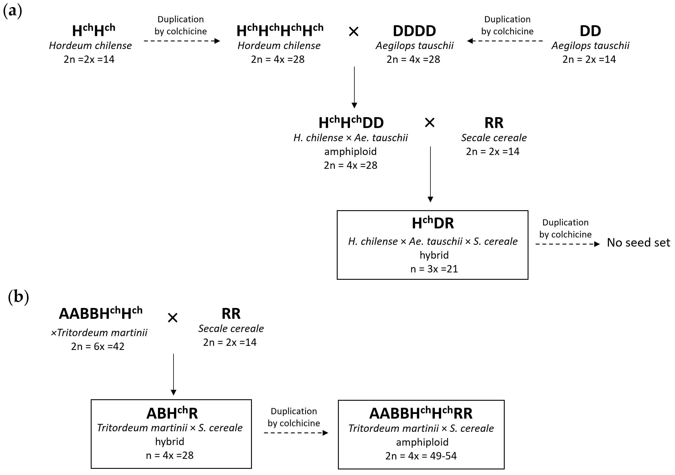 Plants 10 00113 g001 Plants 10 00113 g001