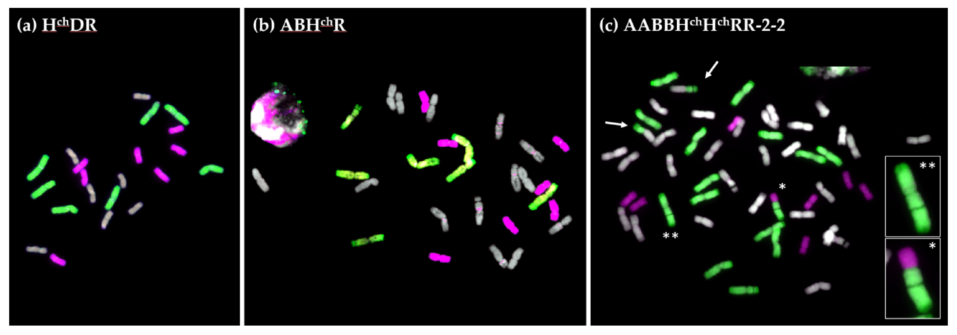 Plants 10 00113 g002 Plants 10 00113 g002