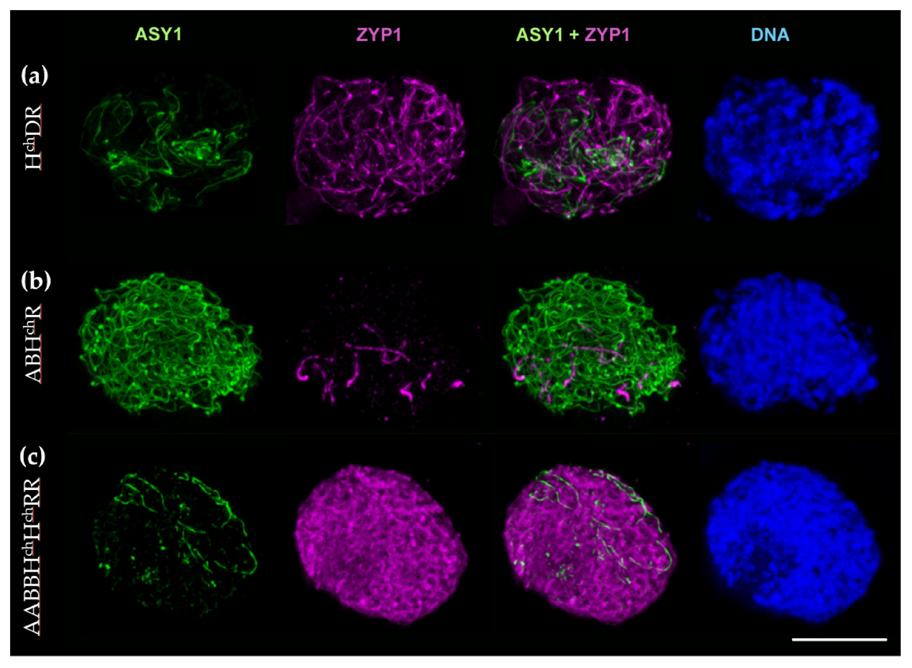 Plants 10 00113 g005 Plants 10 00113 g005