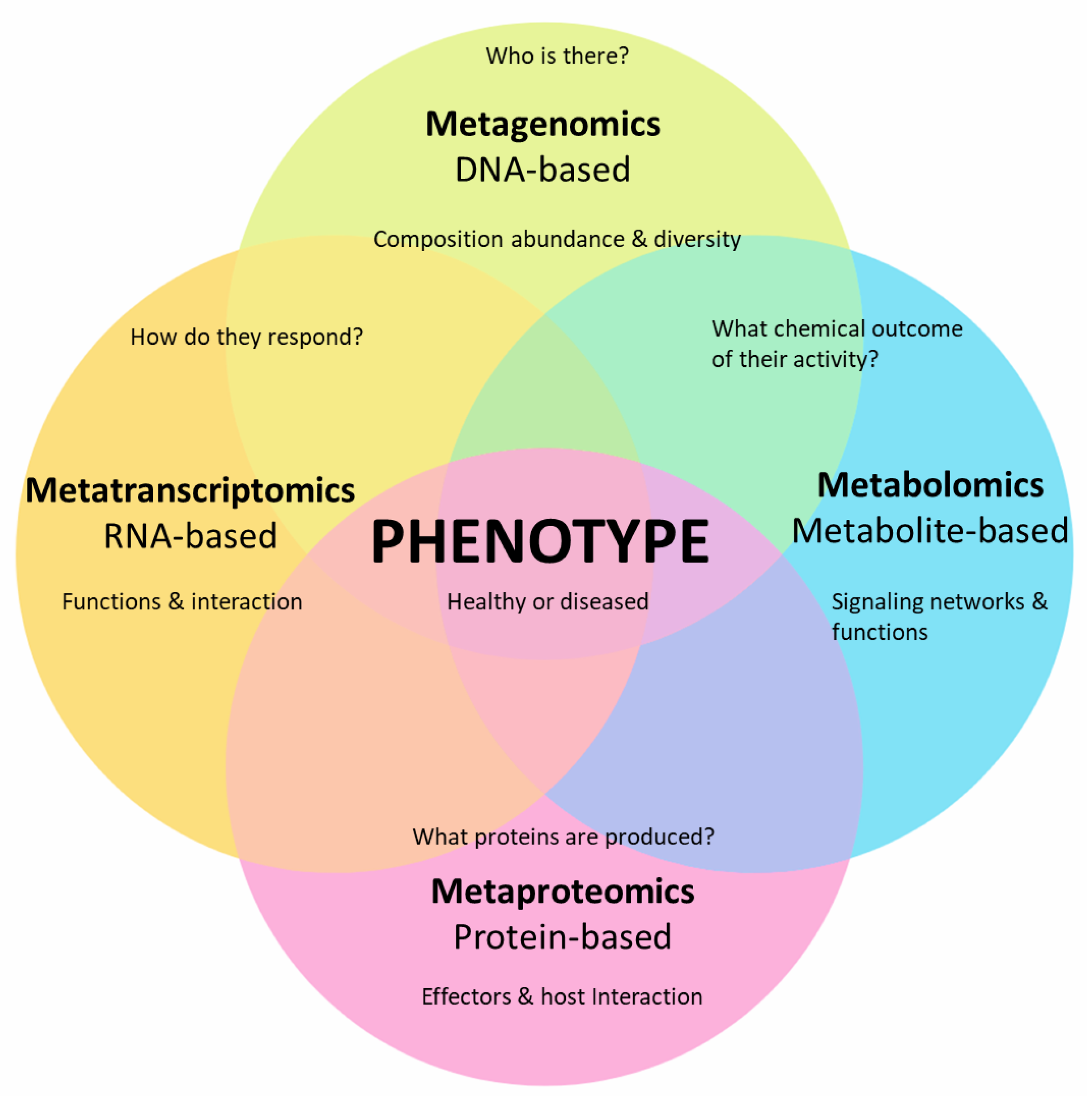 Plants 10 00125 g002