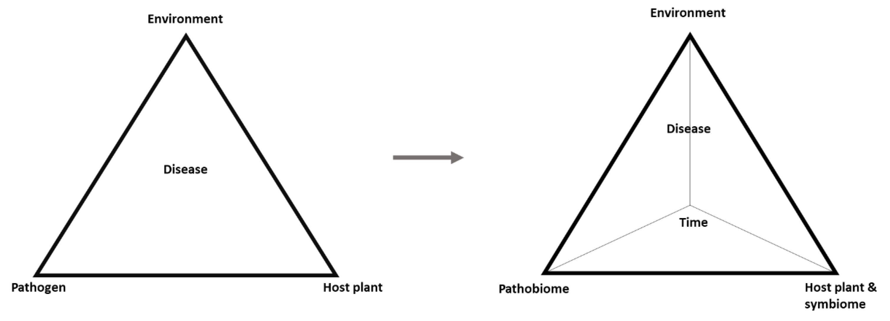 Plants 10 00125 g003