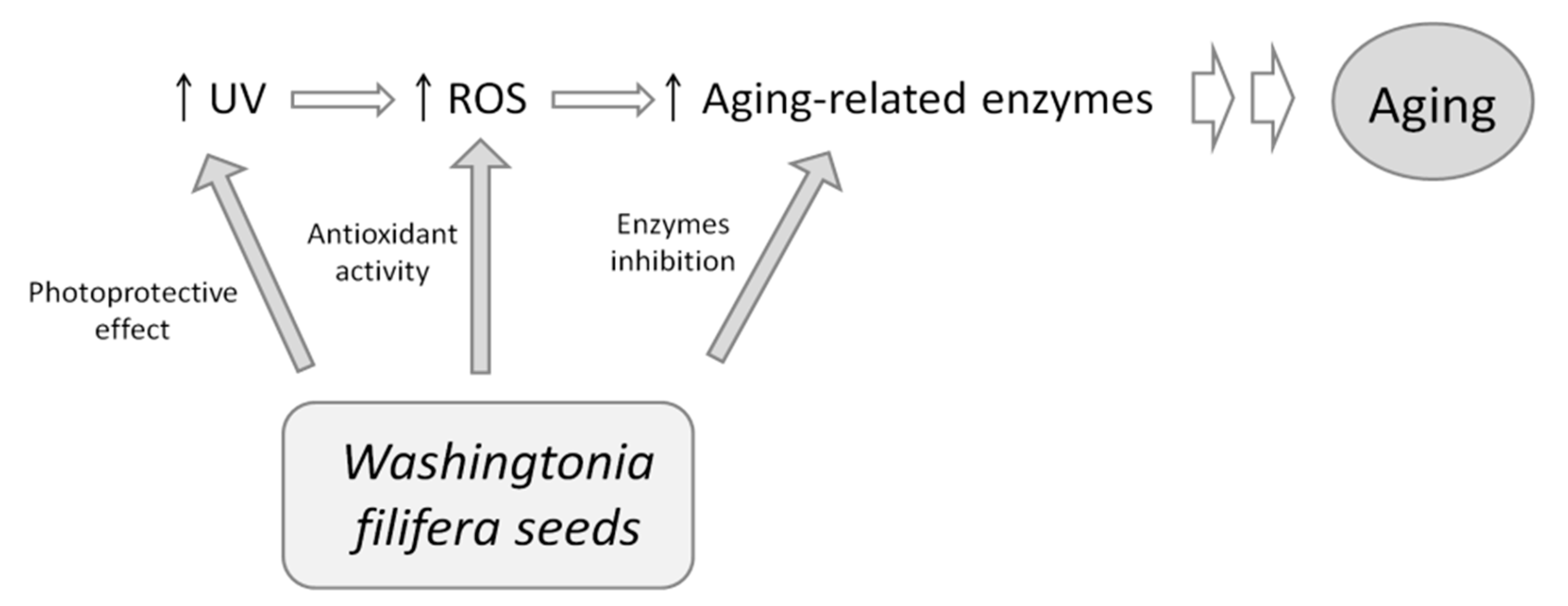 Plants 10 00151 g006 Plants 10 00151 g006