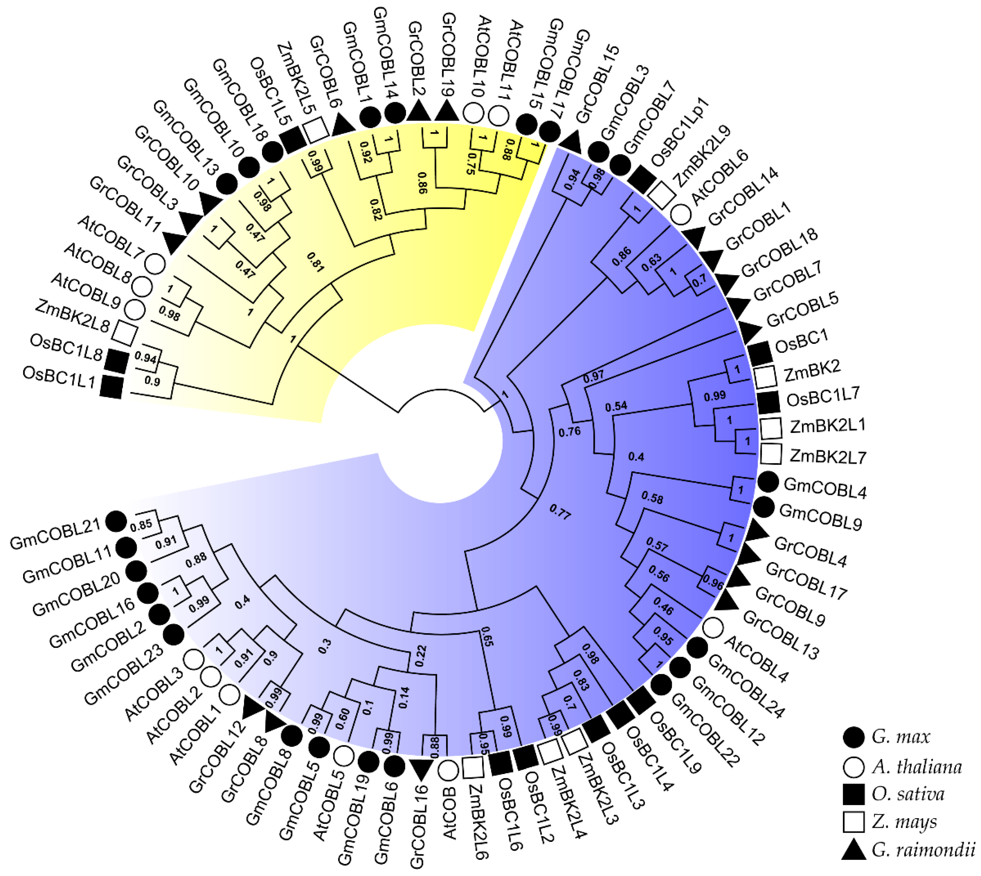 Plants 10 00167 g001