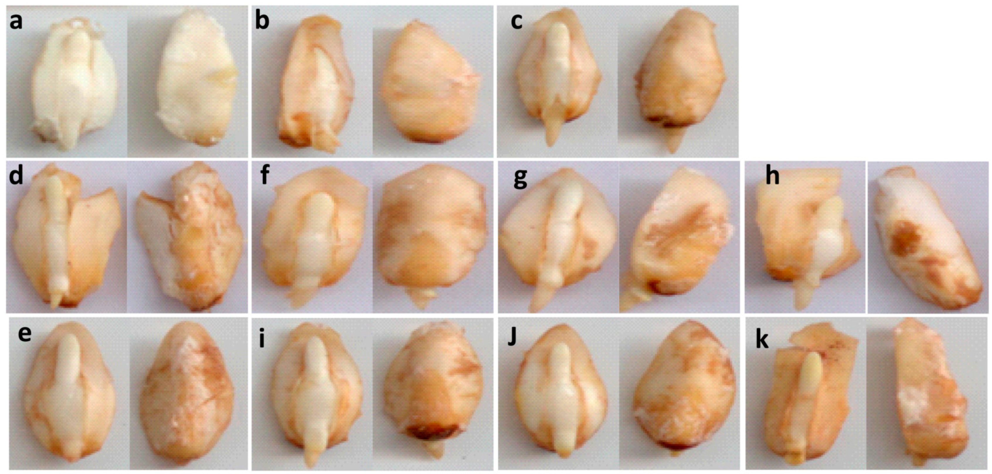 Plants 10 00197 g003 Plants 10 00197 g003