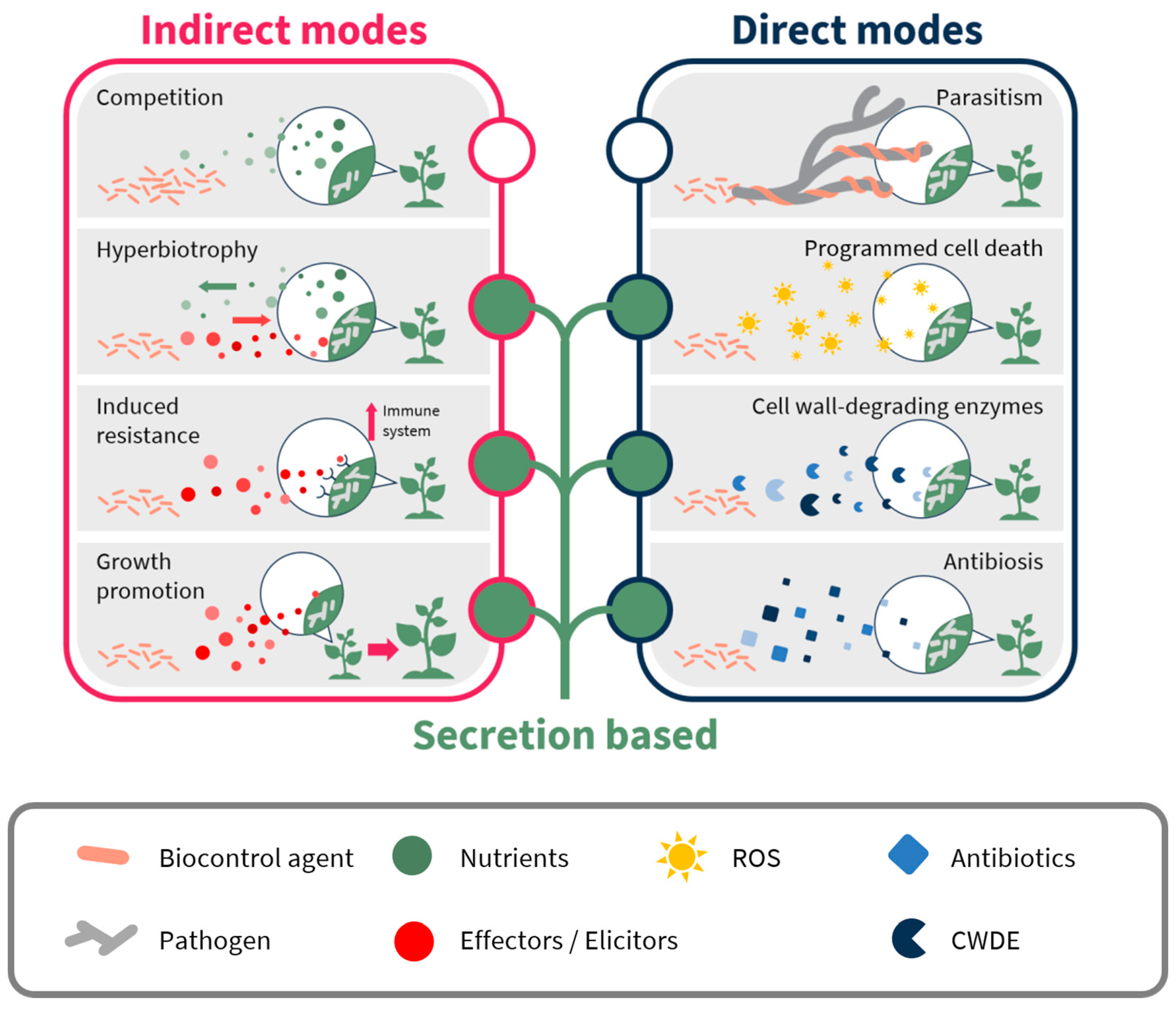 Plants 10 00210 g001
