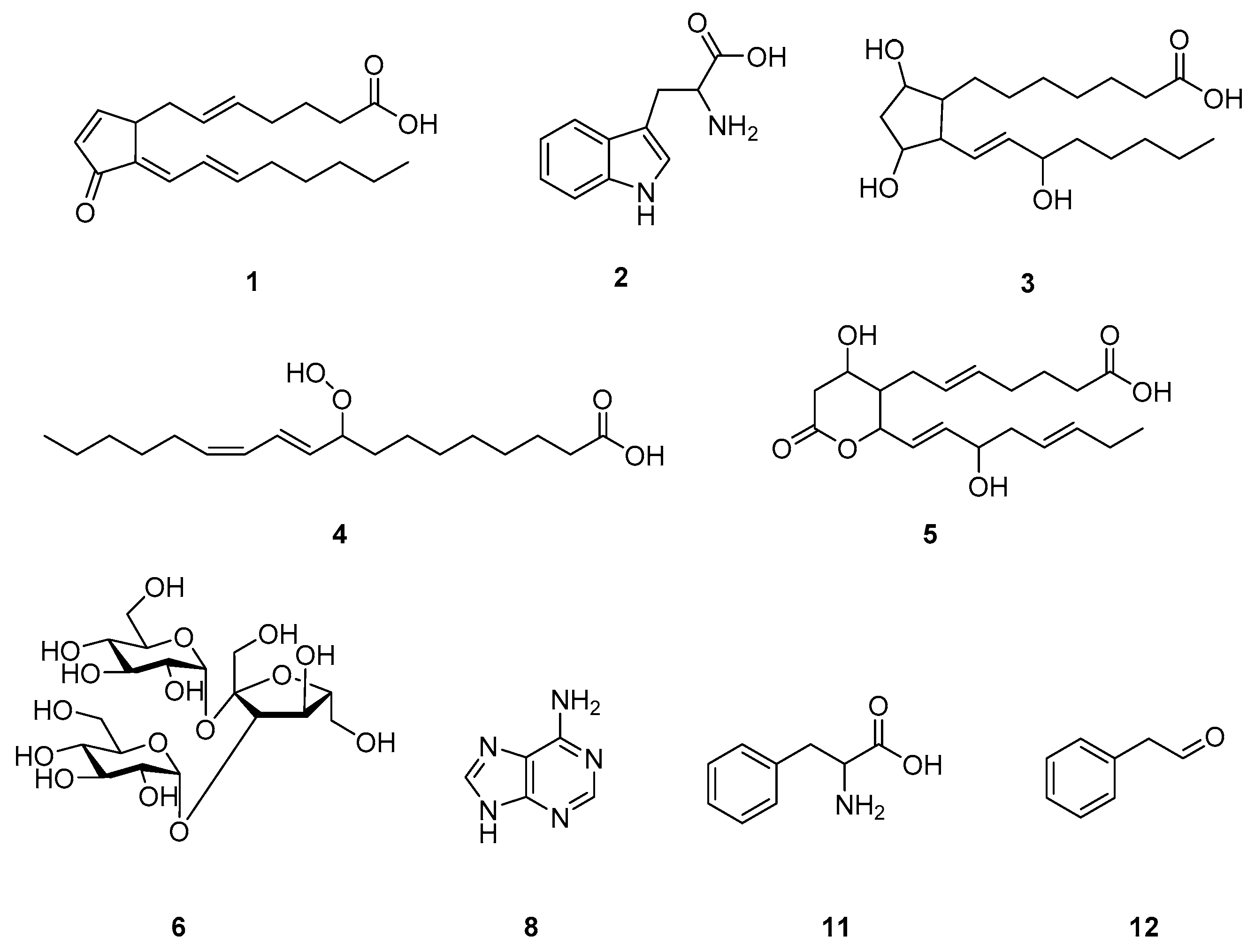 Plants 10 00213 g004 Plants 10 00213 g004
