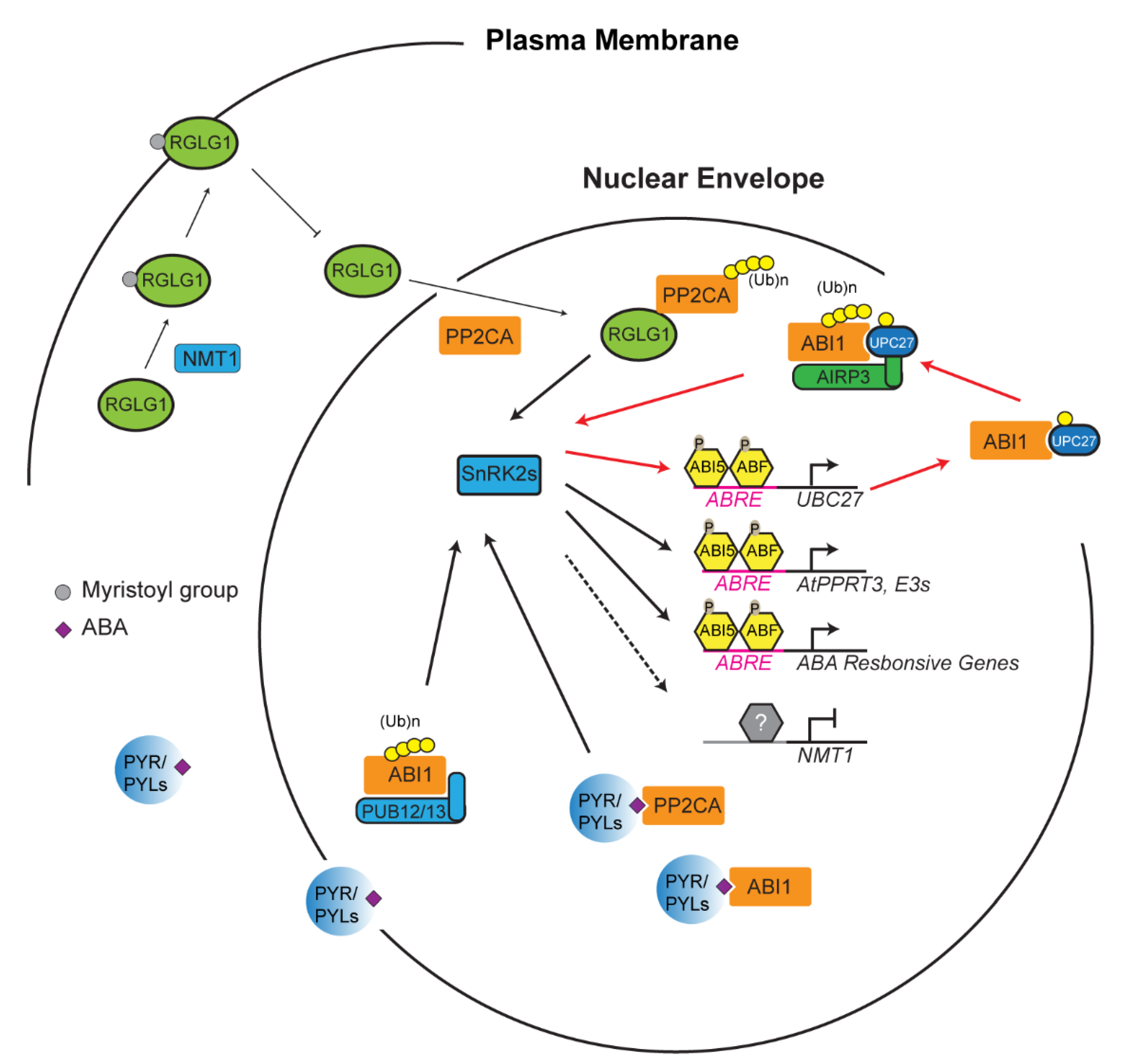 Plants 10 00246 g002 Plants 10 00246 g002