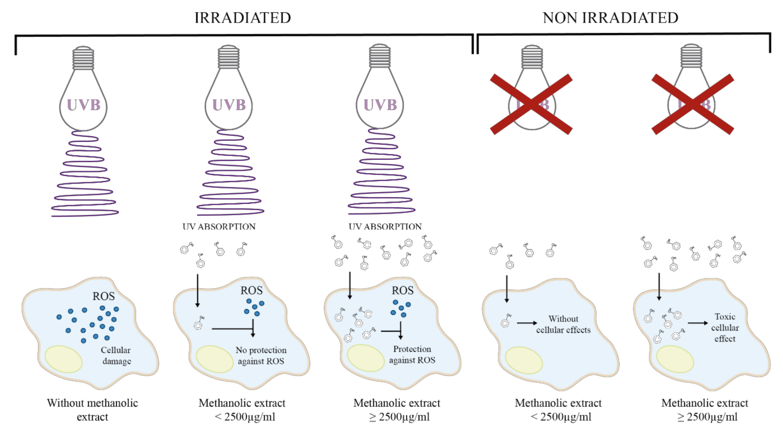 Plants 10 00266 g004