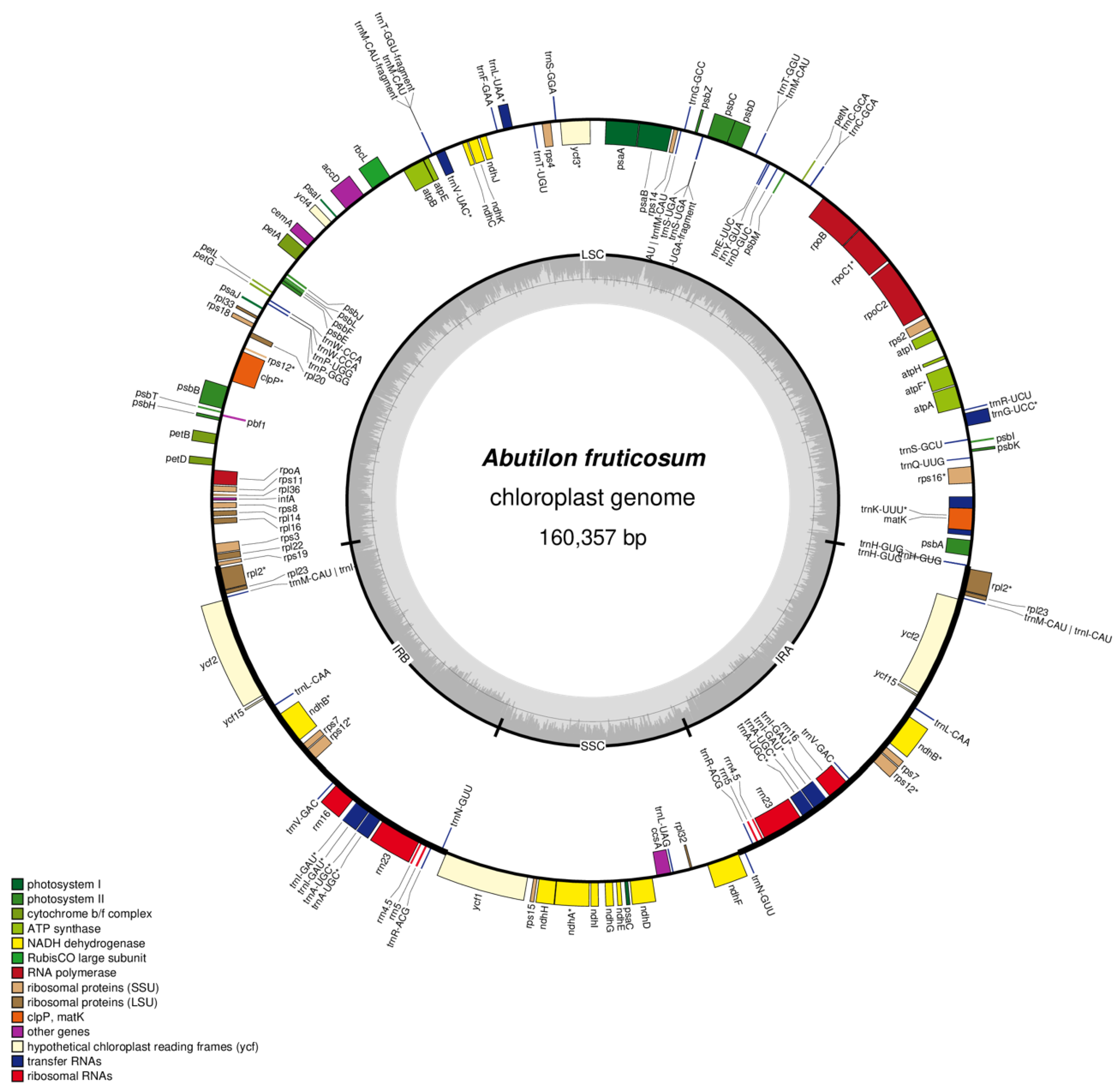 Plants 10 00270 g001 Plants 10 00270 g001