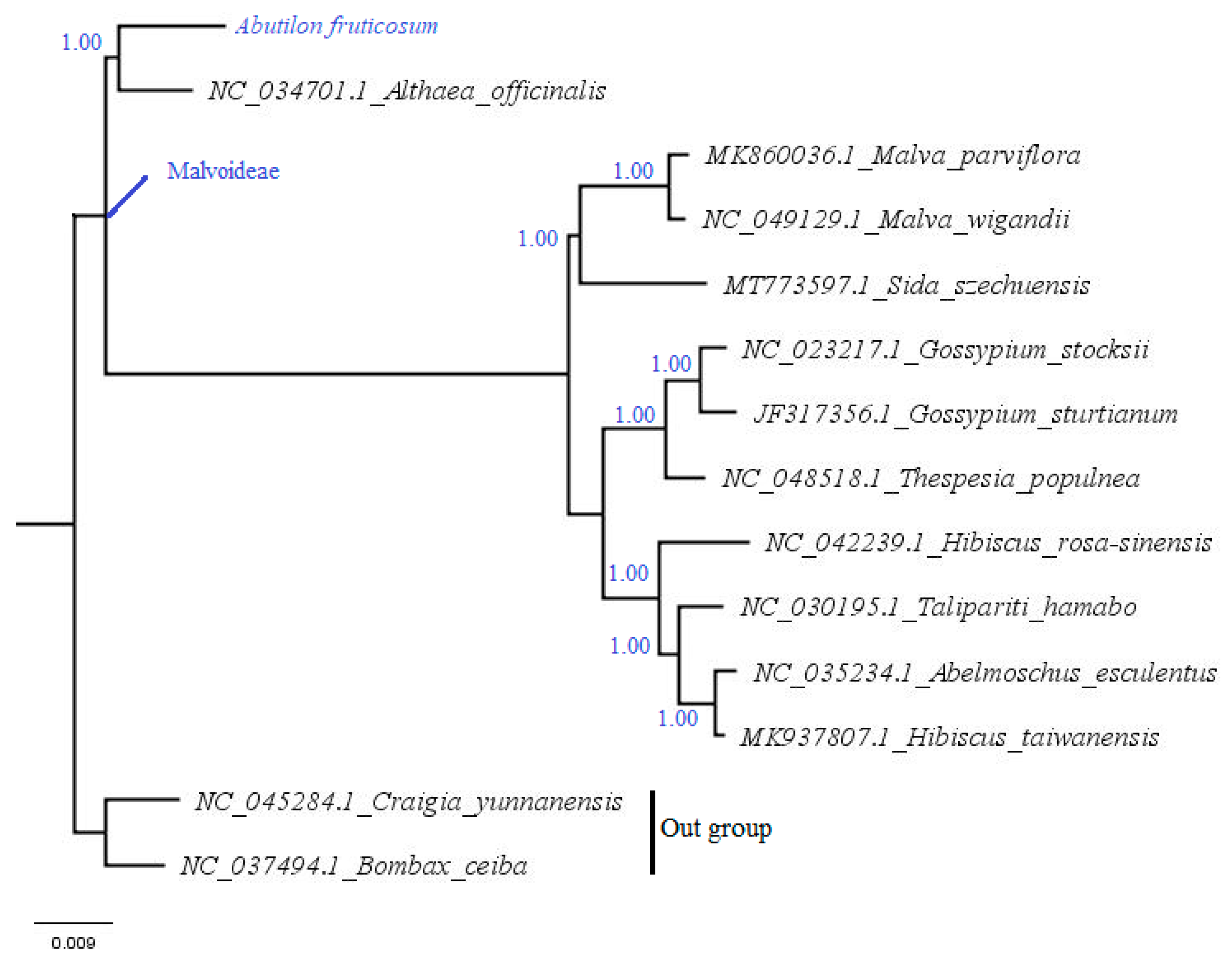Plants 10 00270 g010 Plants 10 00270 g010